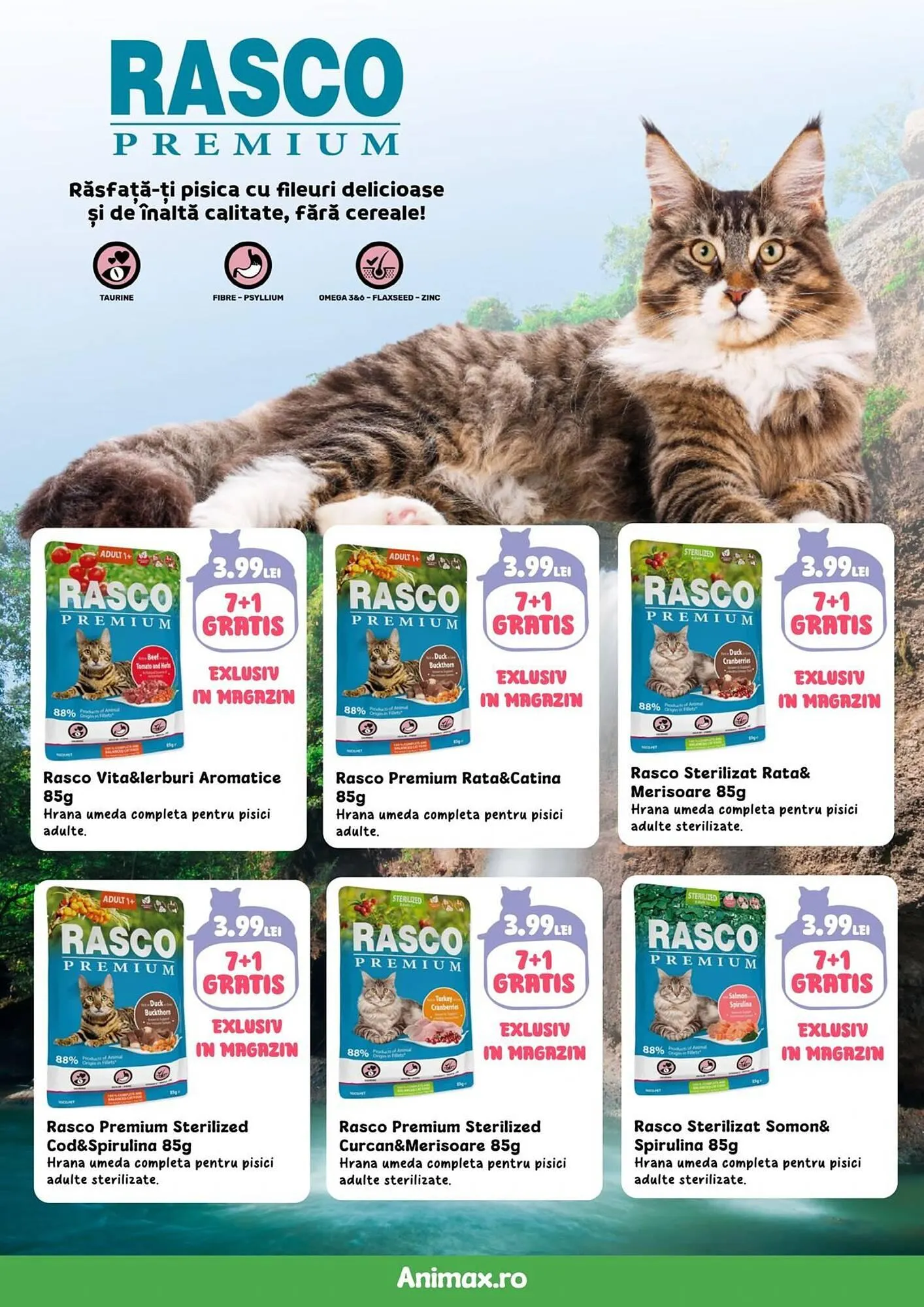 Catalog Catalog Animax de la 4 martie până la 31 martie 2025 - Revista Pagina 20