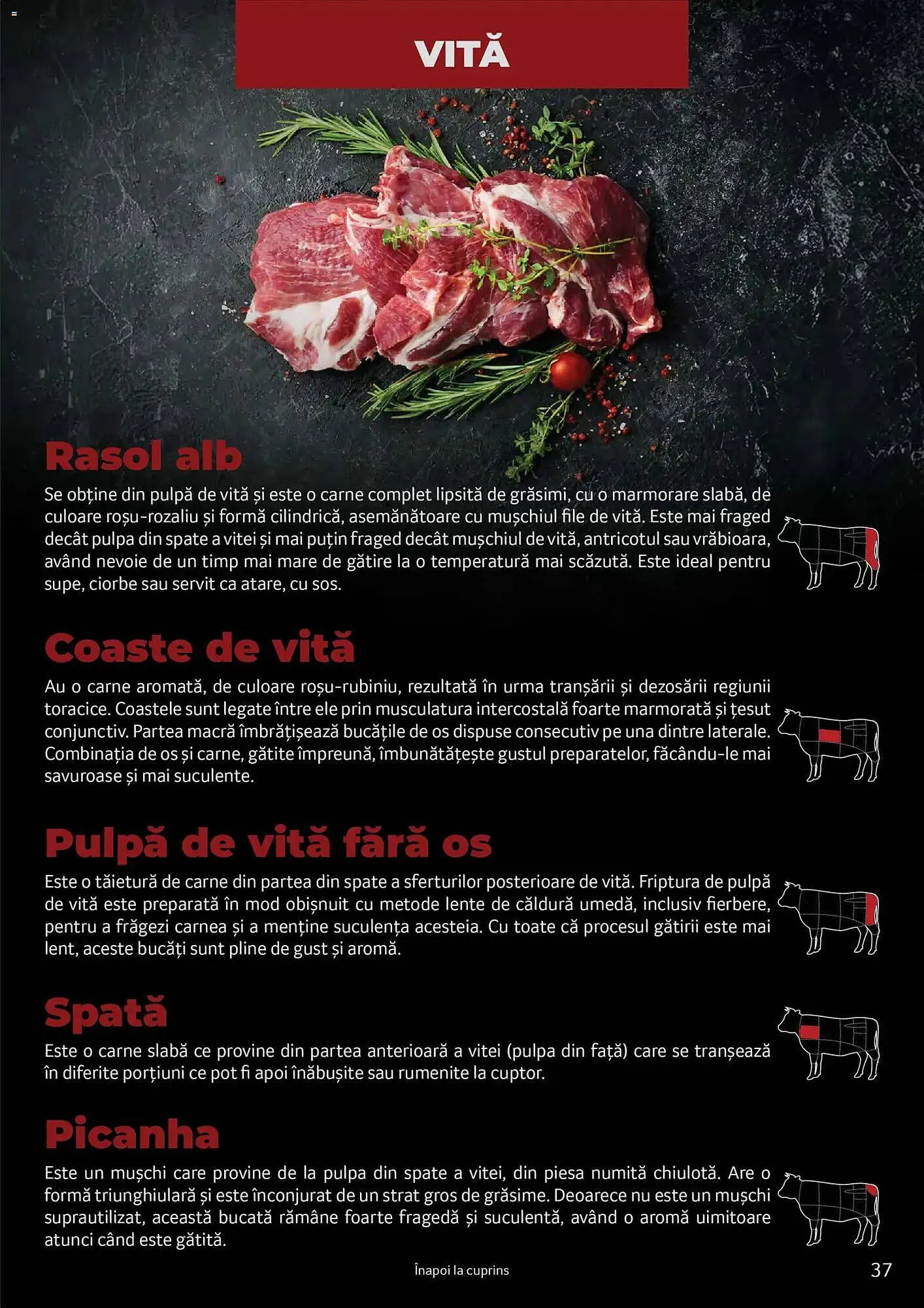 Catalog Catalog Selgros de la 24 martie până la 31 martie 2027 - Revista Pagina 37