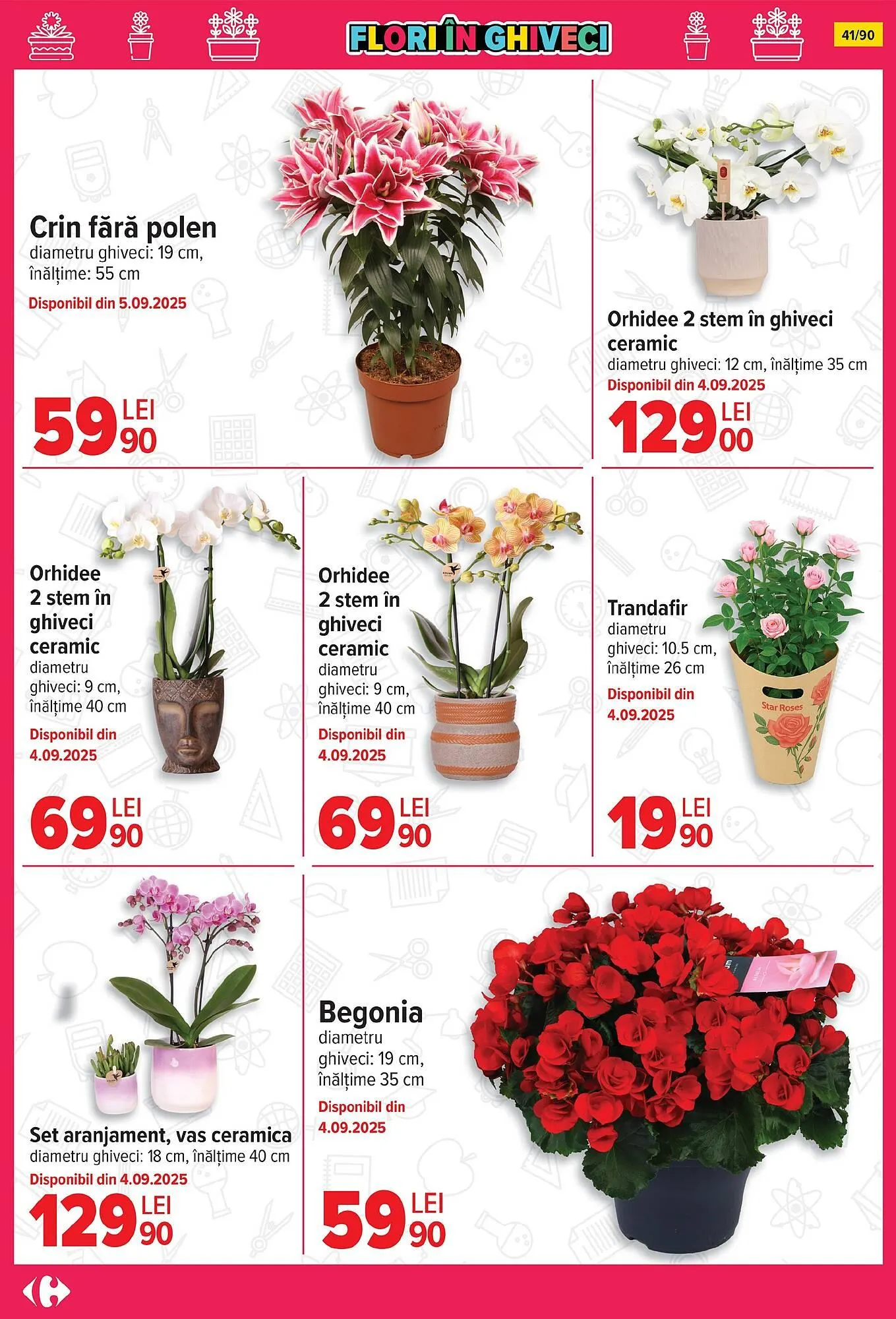 Catalog Catalog Carrefour de la 13 august până la 19 august 2025 - Revista Pagina 42