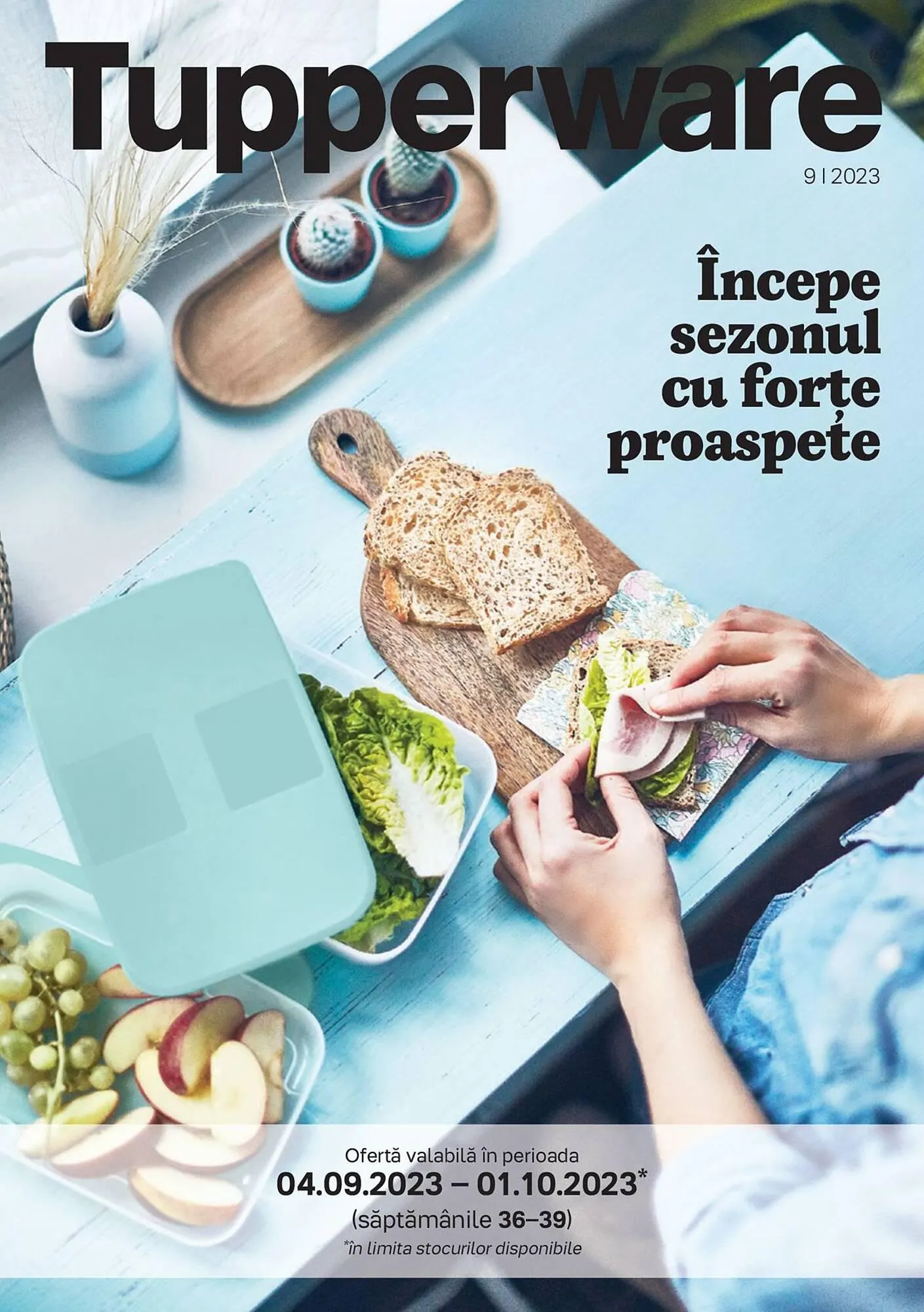 Tupperware catalog - 1
