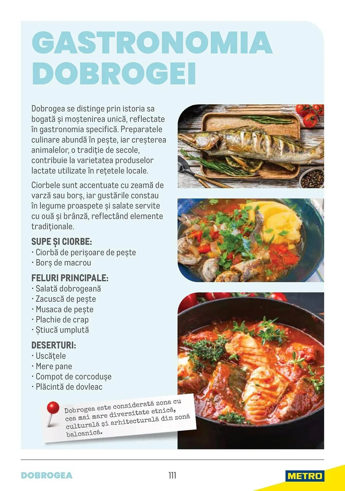 Catalog Catalog Metro de la 9 aprilie până la 31 decembrie 2025 - Revista Pagina 111