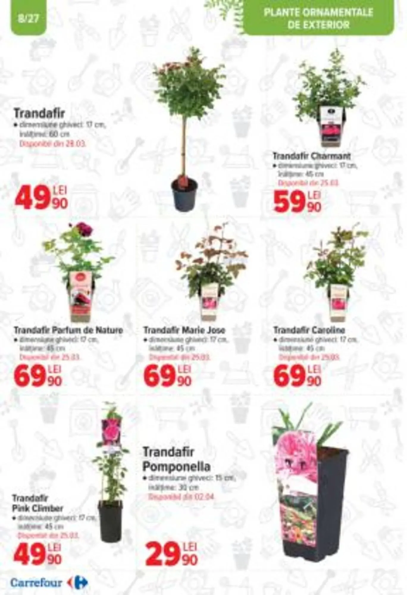 Catalog Catalog Carrefour de la 19 martie până la 15 aprilie 2025 - Revista Pagina 5