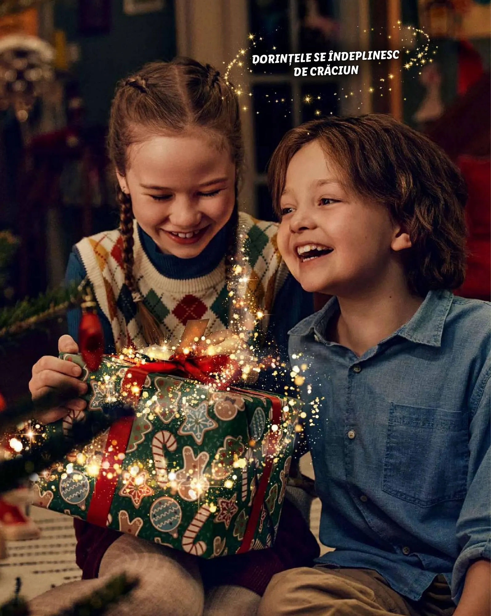 Catalog Catalog Lidl de la 4 noiembrie până la 24 decembrie 2024 - Revista Pagina 51