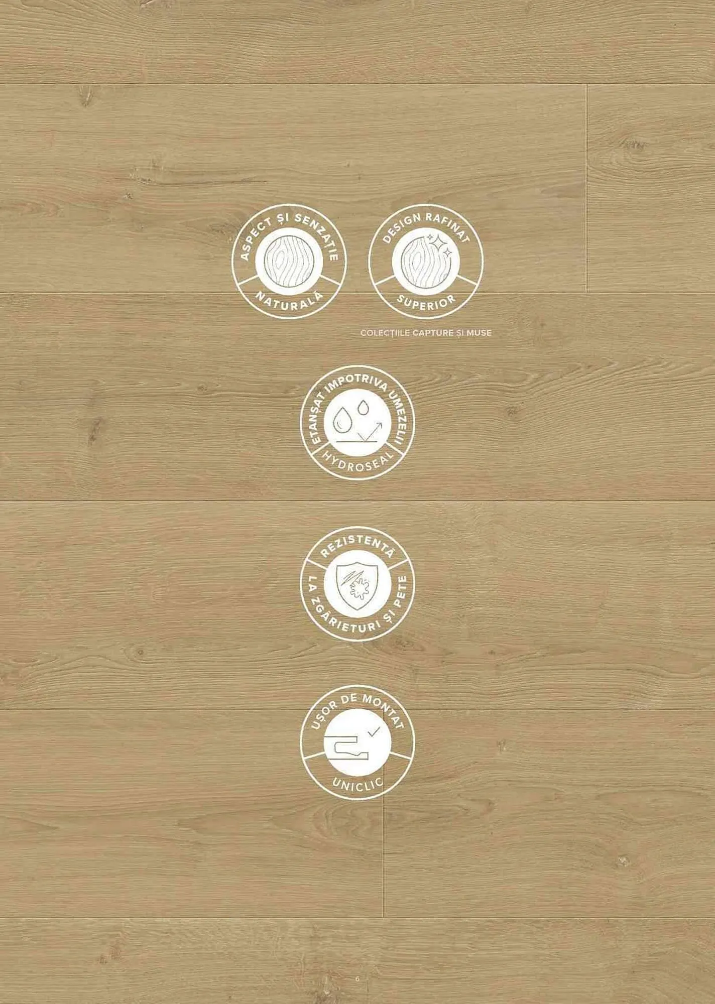 Catalog Proges catalog de la 11 iulie până la 31 decembrie 2023 - Revista Pagina 7