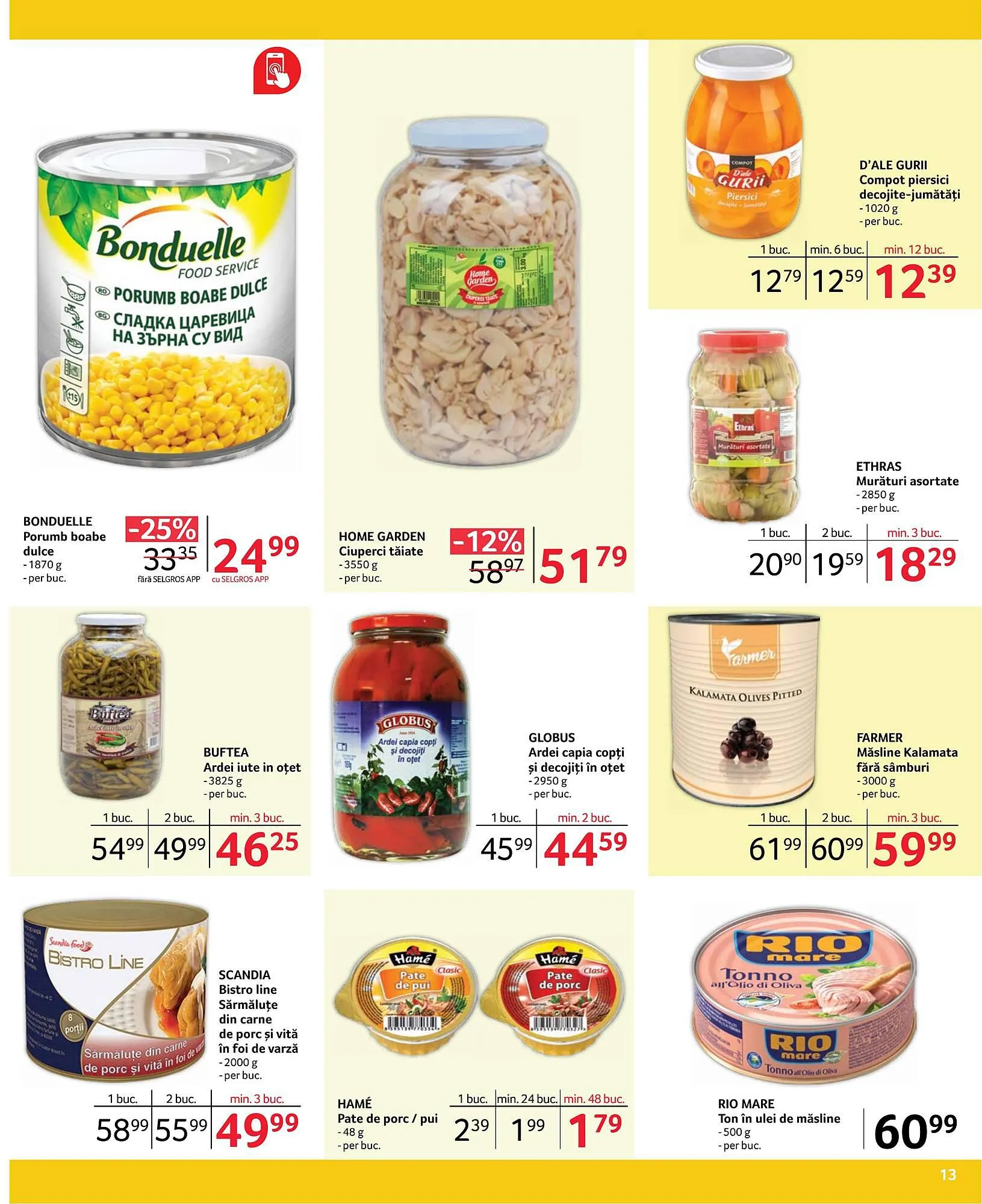 Catalog Selgros catalog de la 1 decembrie până la 31 decembrie 2023 - Revista Pagina 13