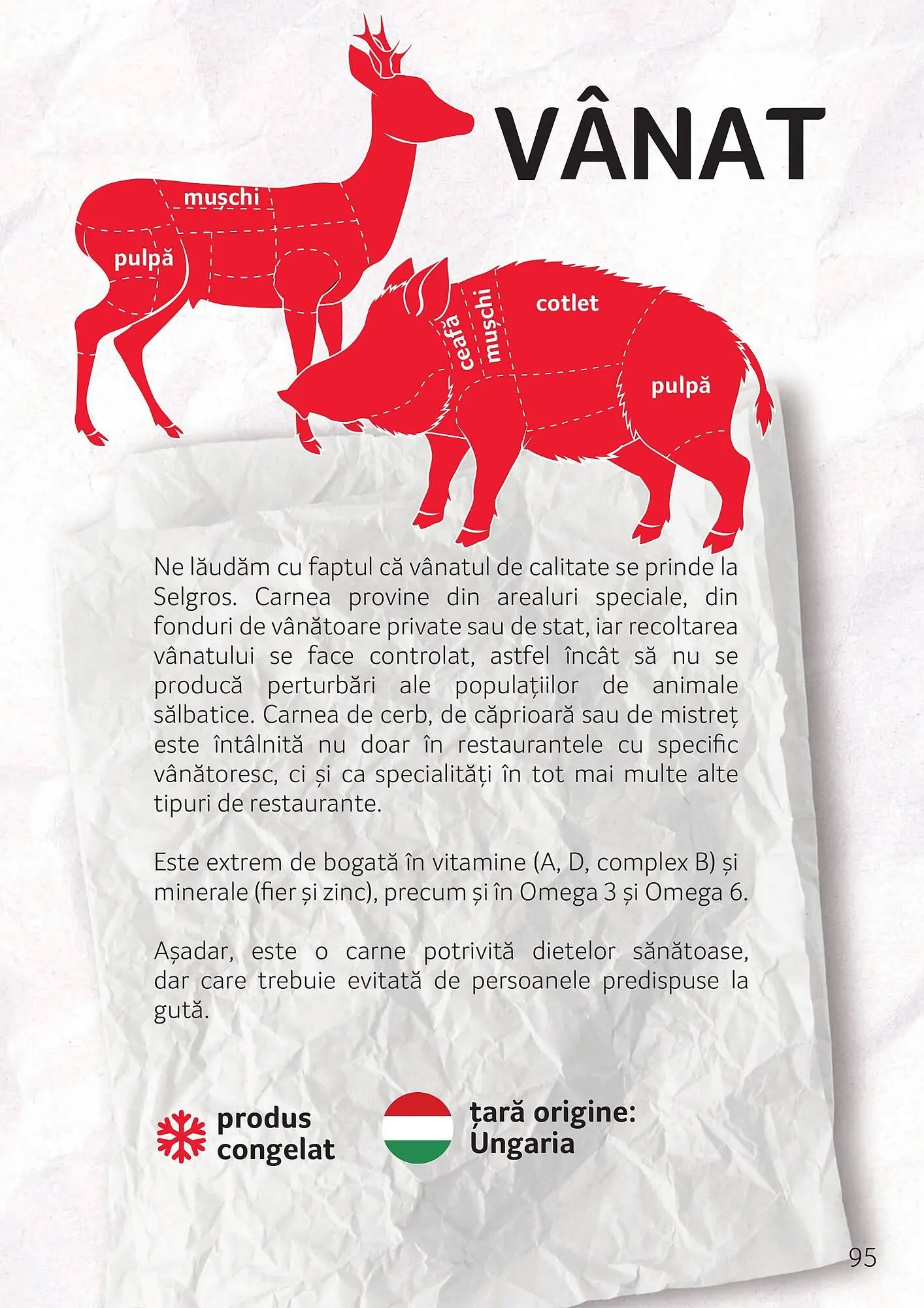 Catalog Catalog Selgros de la 3 octombrie până la 30 noiembrie 2025 - Revista Pagina 95