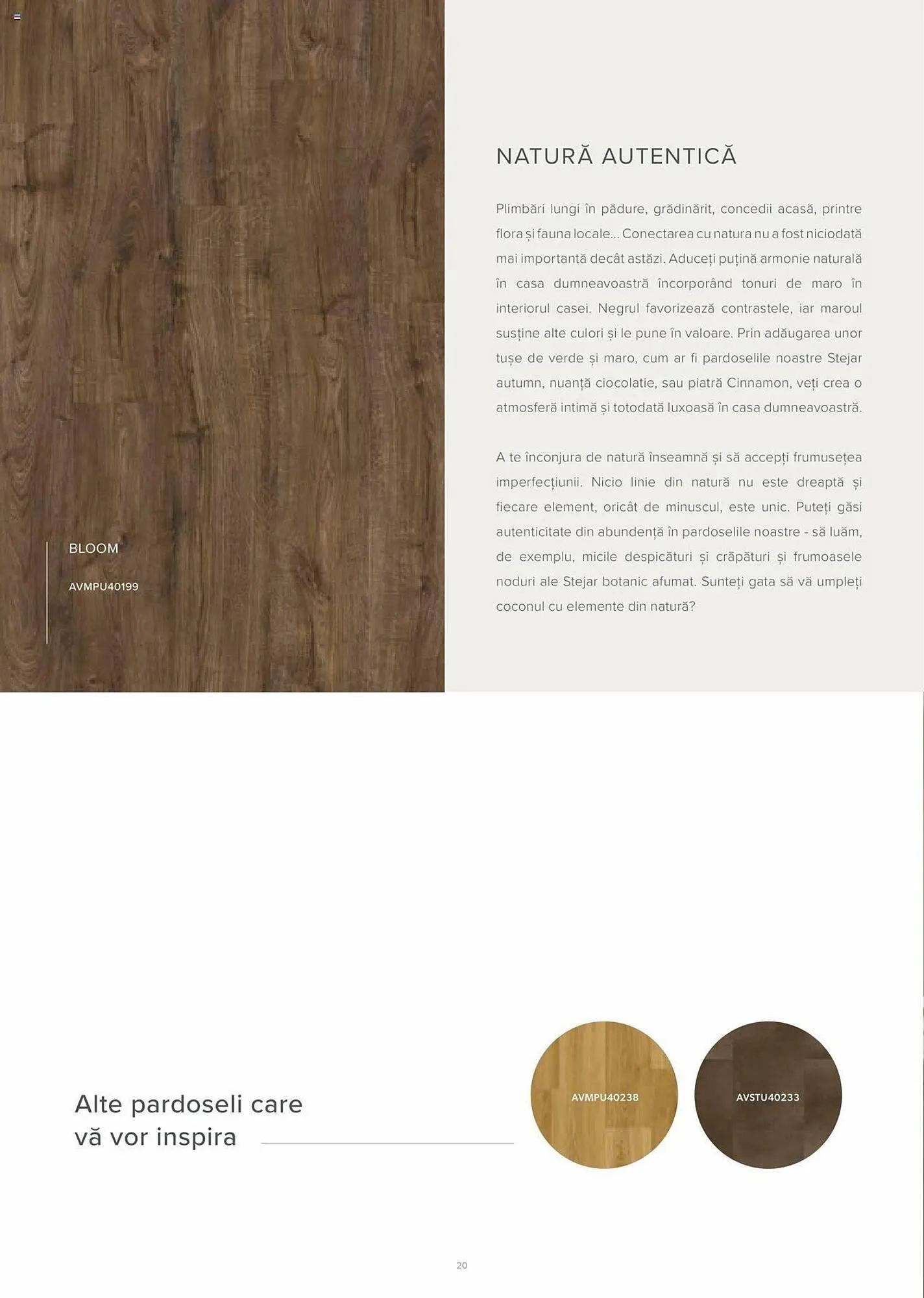 Catalog Proges catalog de la 1 ianuarie până la 31 decembrie 2023 - Revista Pagina 23