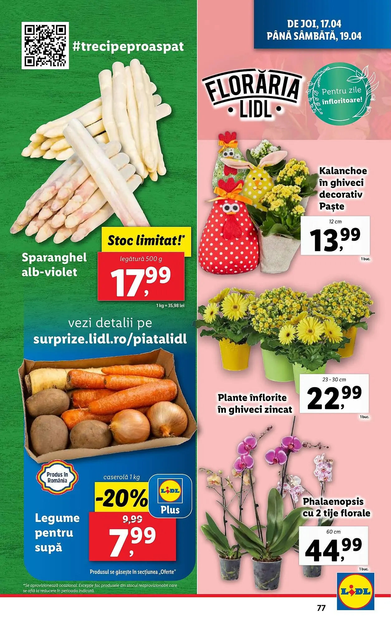 Catalog Catalog Lidl de la 14 aprilie până la 19 aprilie 2025 - Revista Pagina 77