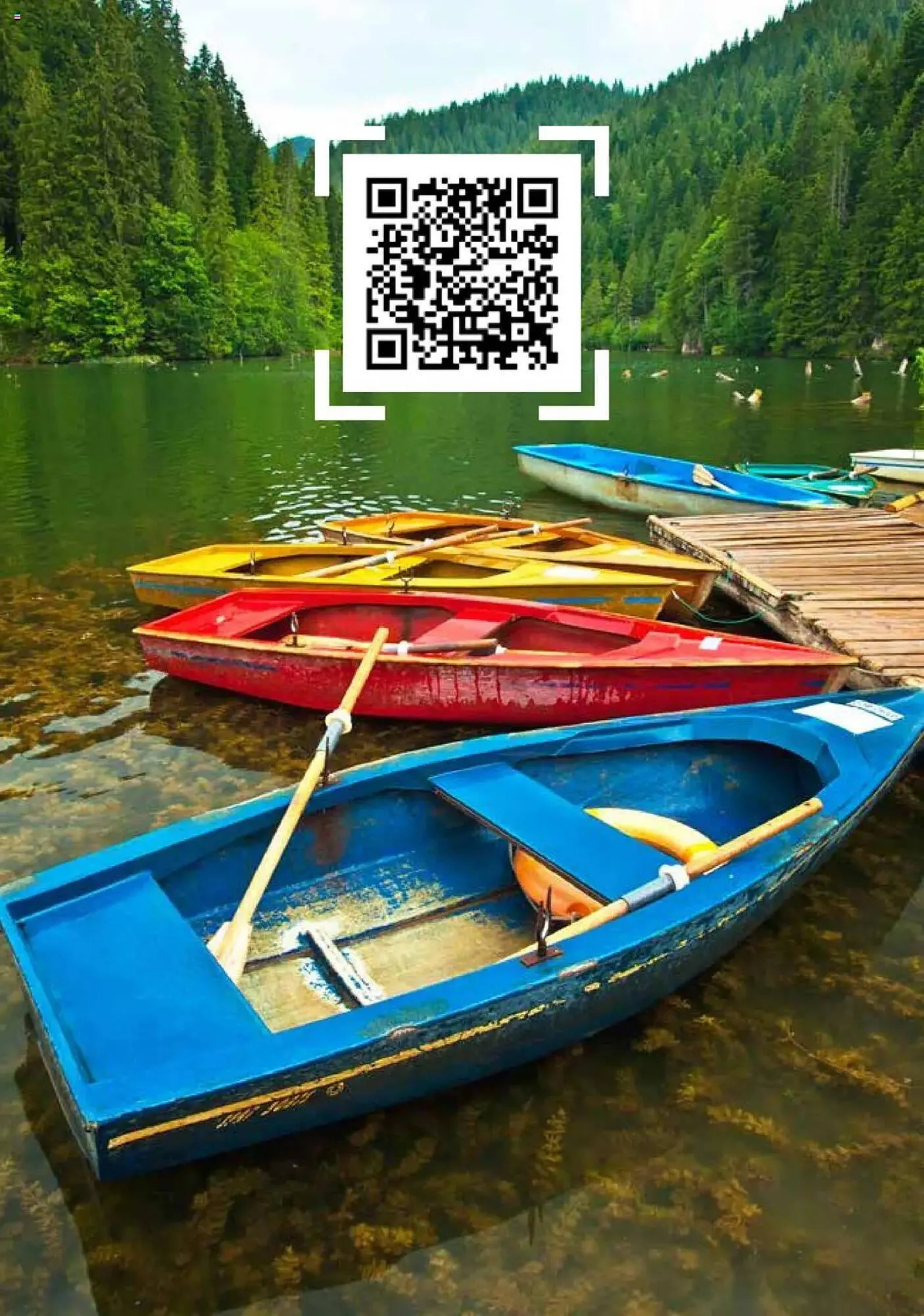 Catalog Catalog Metro de la 31 iulie până la 31 decembrie 2026 - Revista Pagina 220