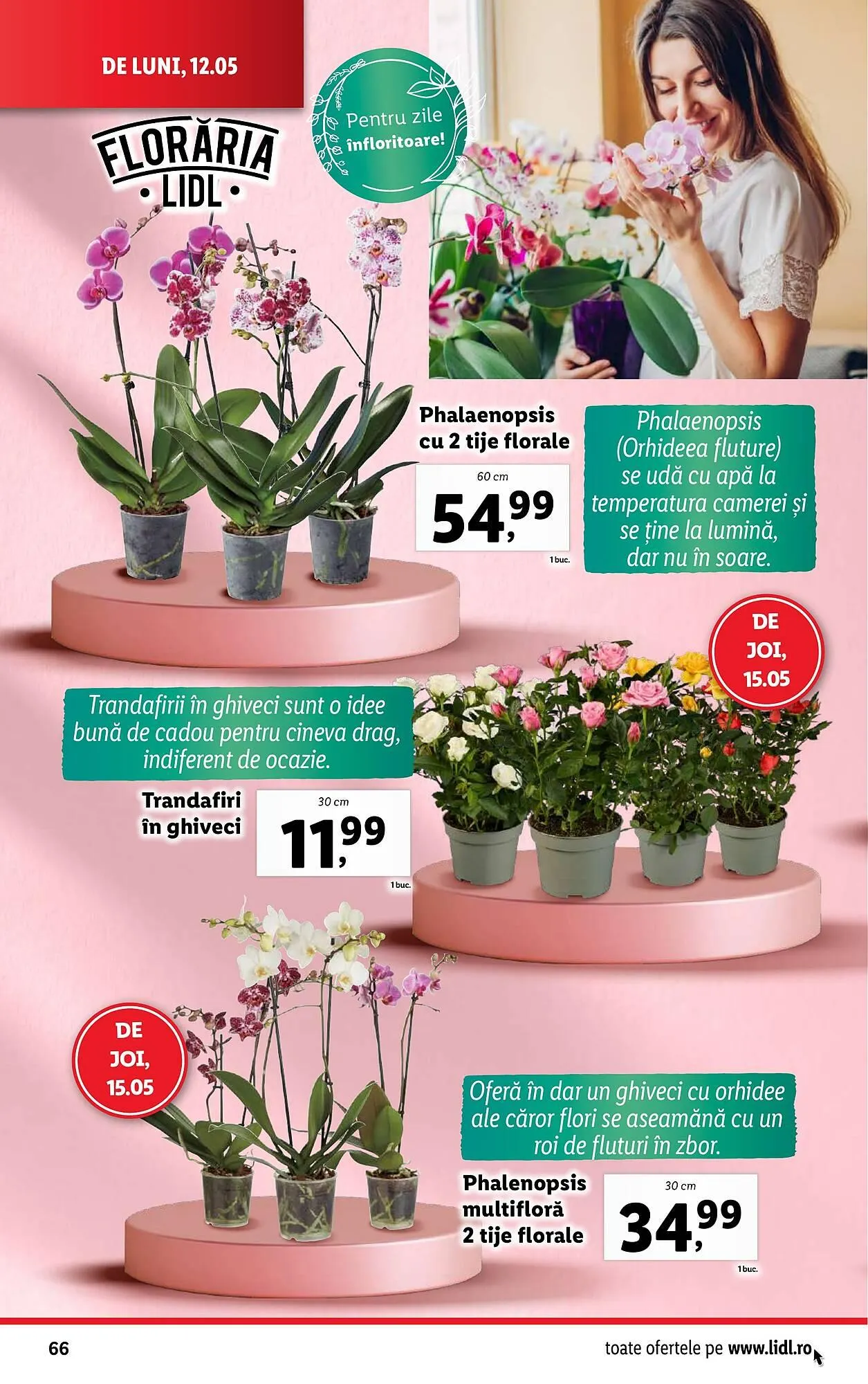 Catalog Catalog Lidl de la 12 mai până la 18 mai 2025 - Revista Pagina 66