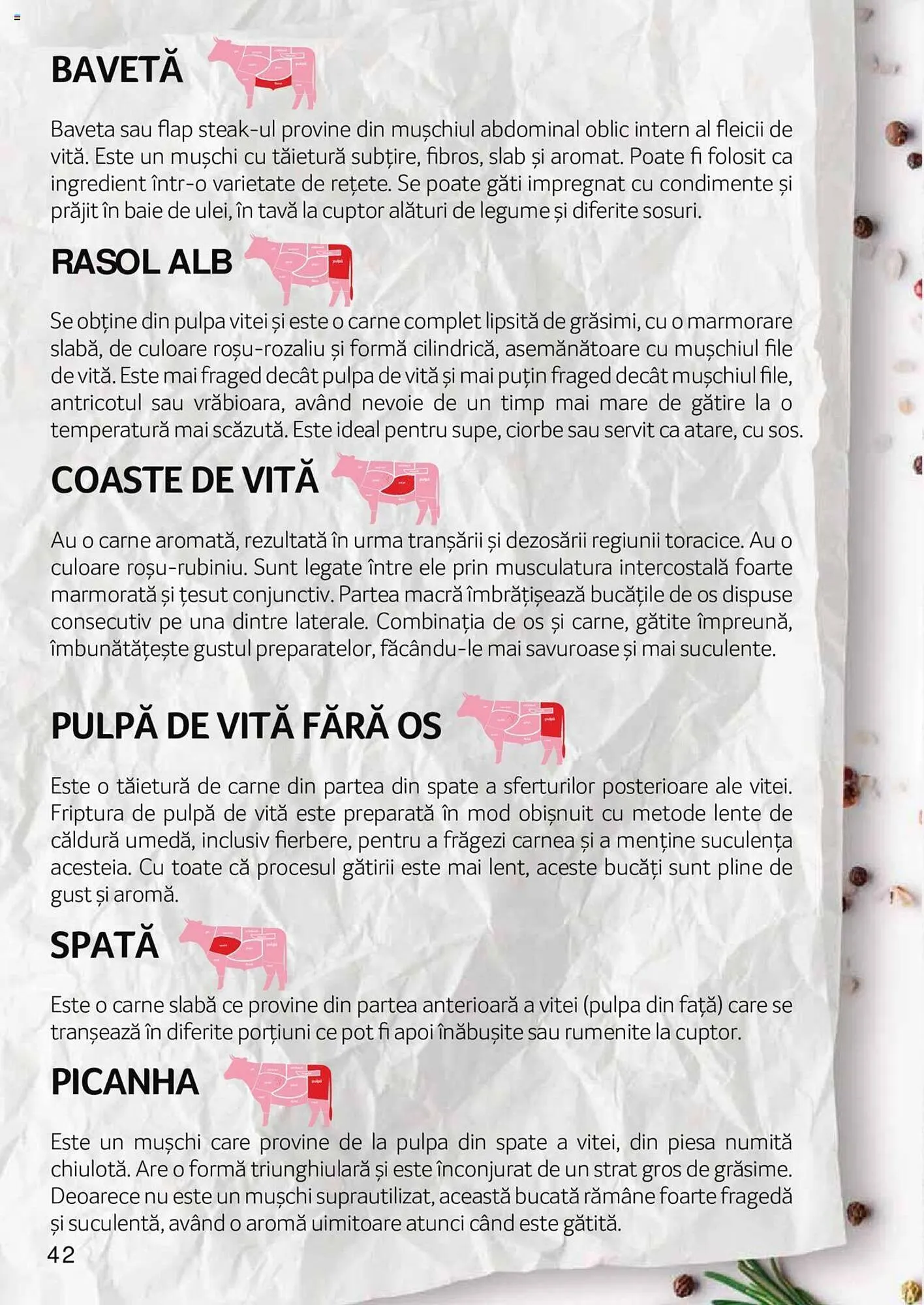 Catalog Selgros catalog de la 27 aprilie până la 31 decembrie 2023 - Revista Pagina 42