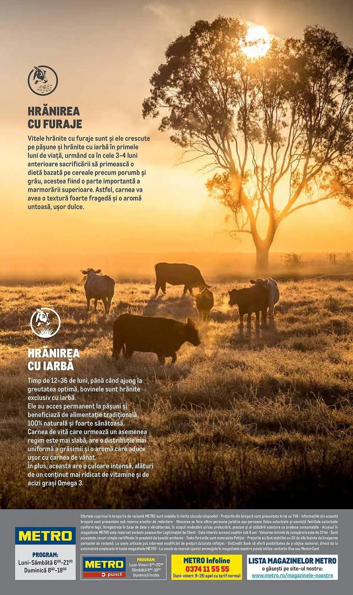 Catalog Metro catalog de la 16 ianuarie până la 31 decembrie 2024 - Revista Pagina 20