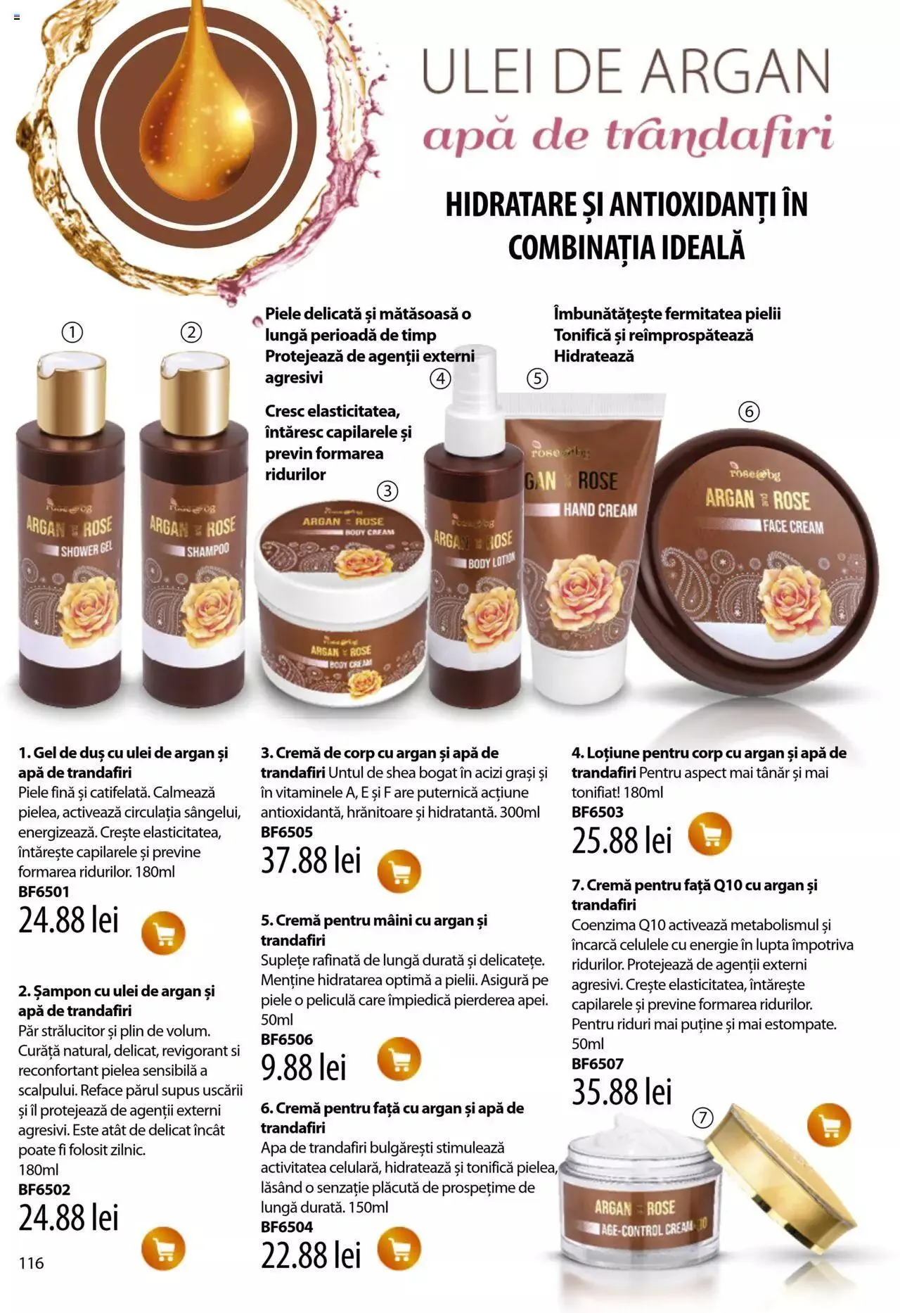 Catalog Catalog Lady’s de la 24 august până la 31 decembrie 2023 - Revista Pagina 116