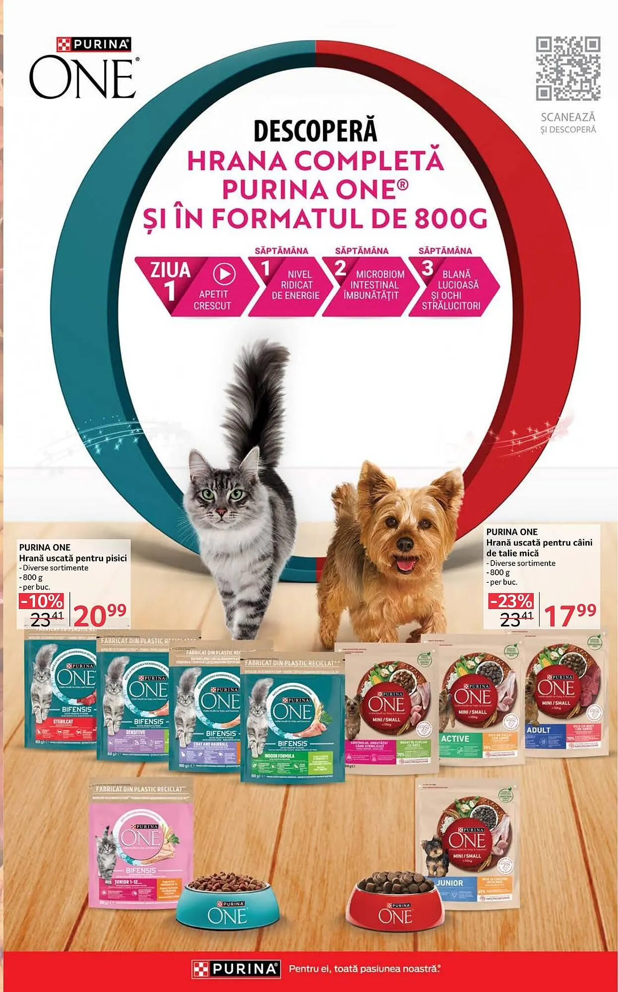 Catalog Catalog Selgros de la 3 octombrie până la 16 octombrie 2025 - Revista Pagina 29