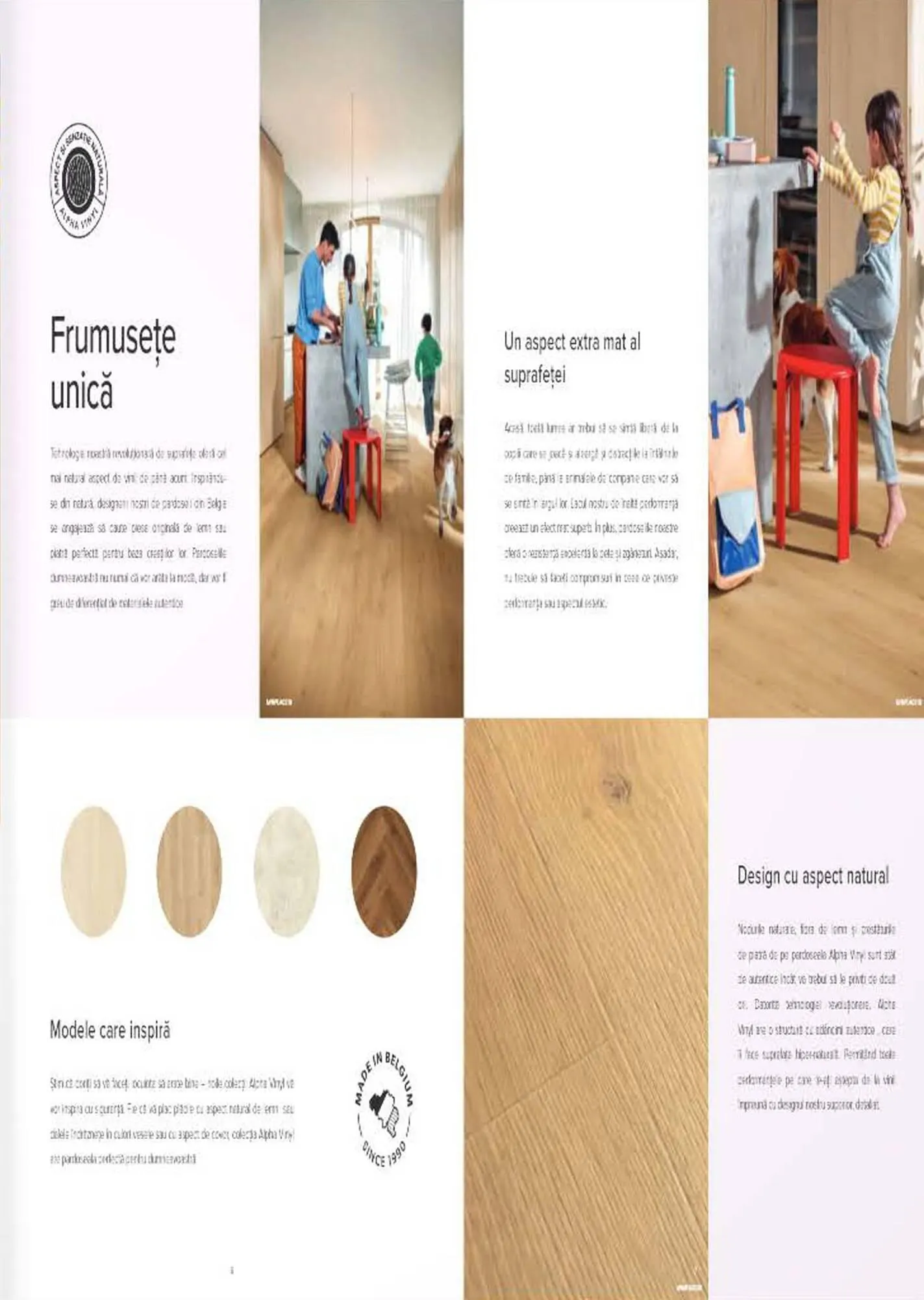 Catalog Proges catalog de la 27 octombrie până la 31 decembrie 2023 - Revista Pagina 5