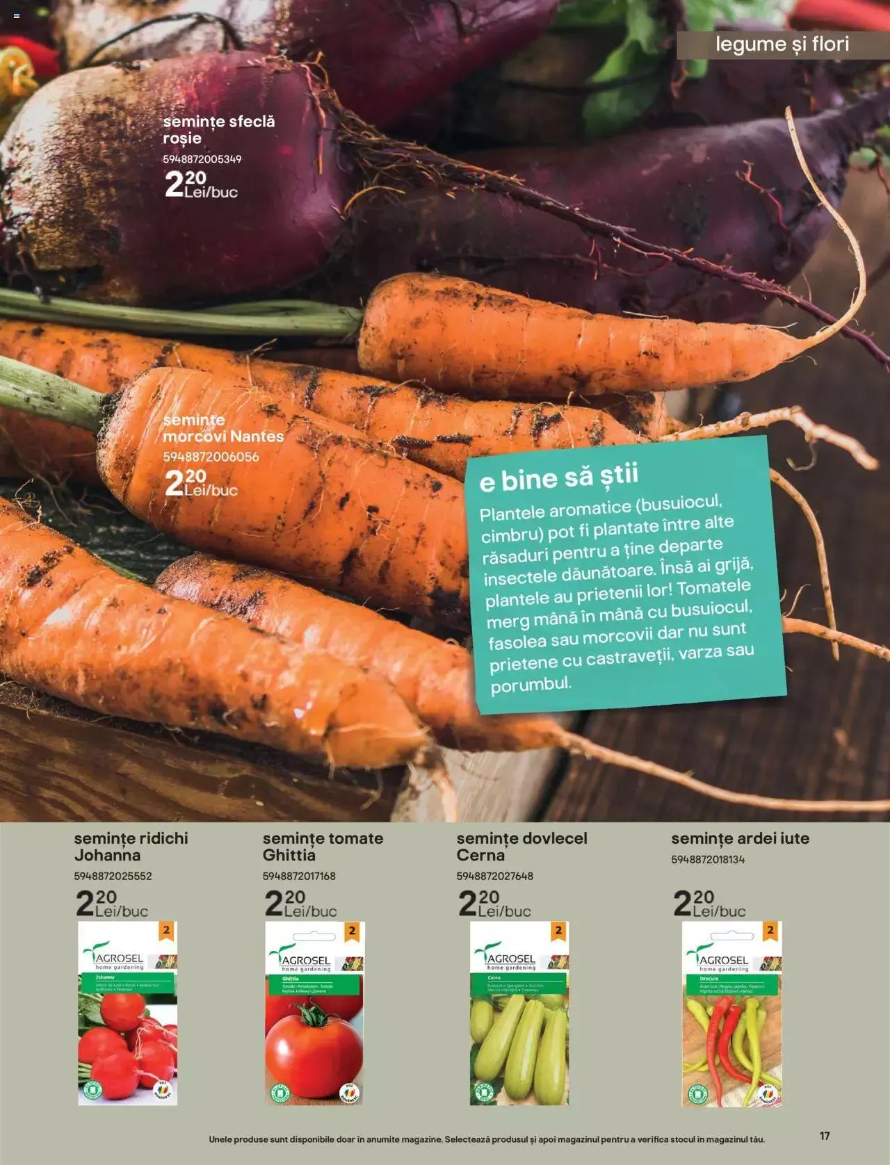 Catalog Brico Depot catalog - Grădină de la 7 aprilie până la 30 septembrie 2023 - Revista Pagina 17