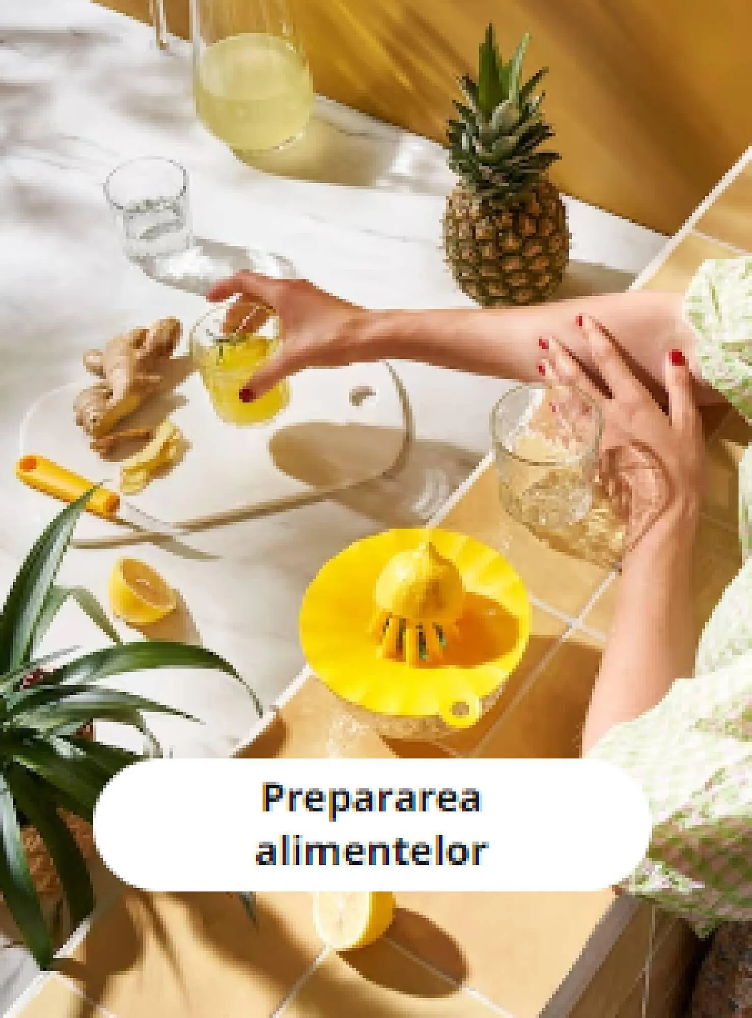 Ikea catalog - 1