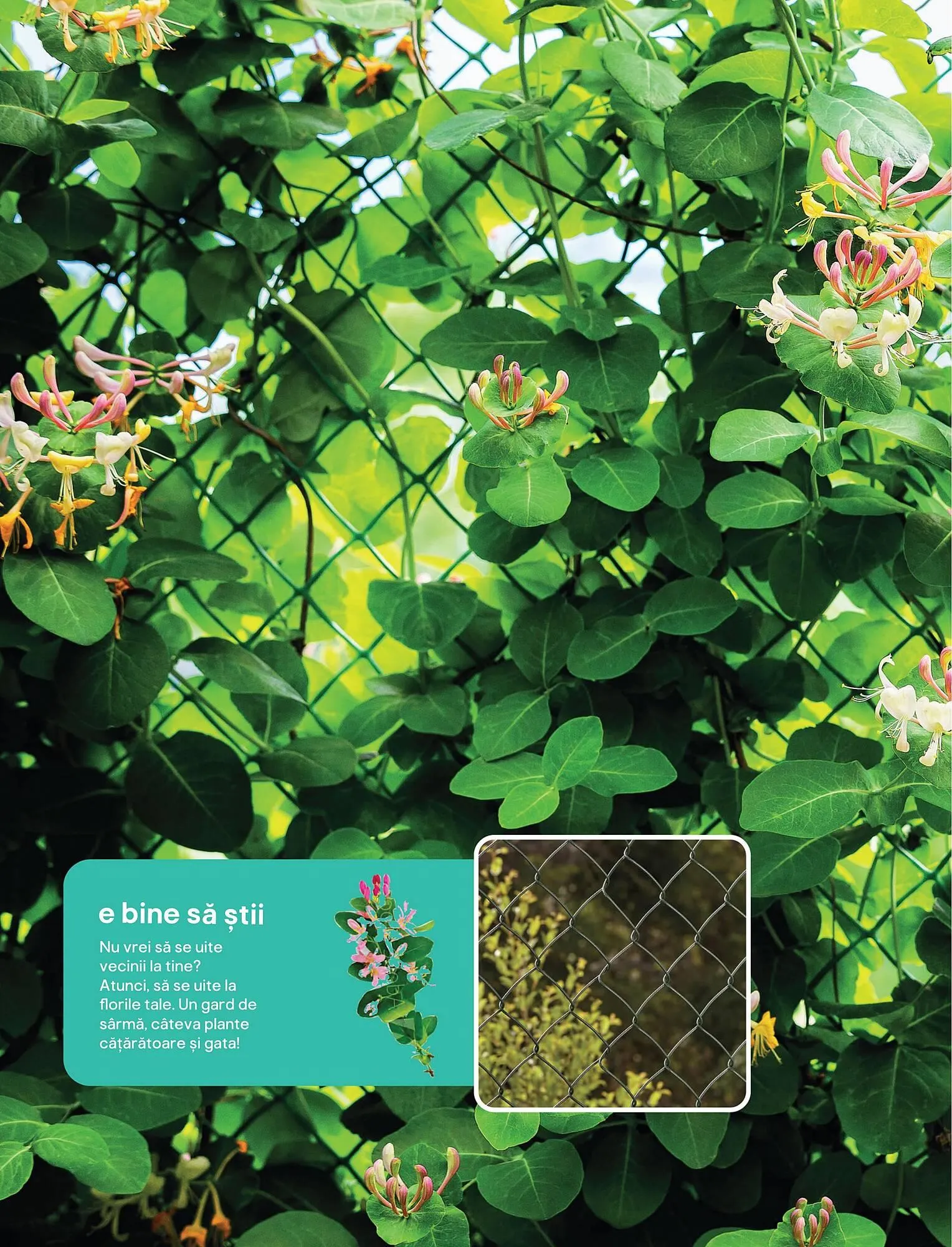 Catalog Catalog Brico Depôt de la 9 mai până la 22 aprilie 2025 - Revista Pagina 12