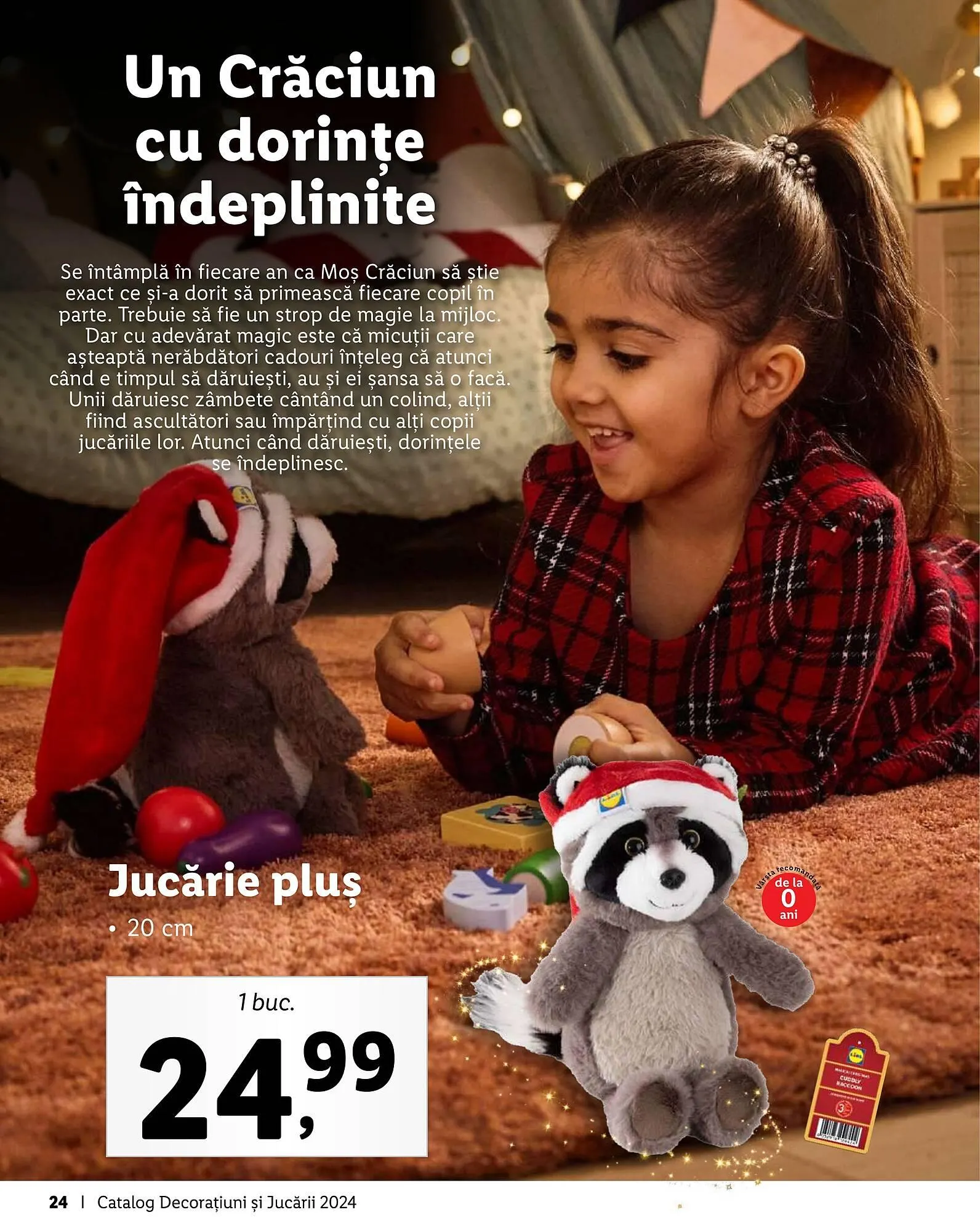 Catalog Catalog Lidl de la 4 noiembrie până la 24 decembrie 2024 - Revista Pagina 24