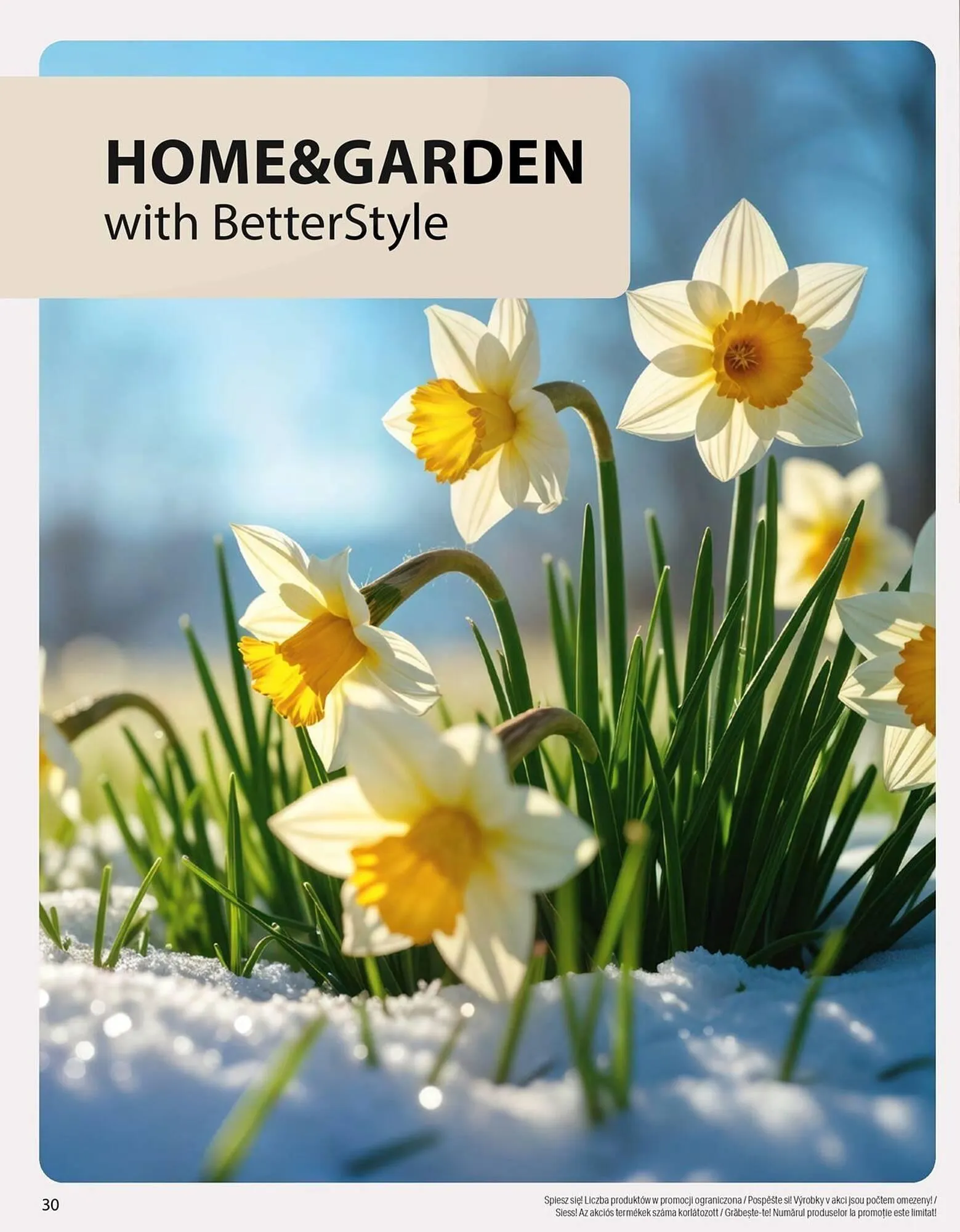 Catalog Catalog BetterStyle de la 2 februarie până la 31 martie 2026 - Revista Pagina 30