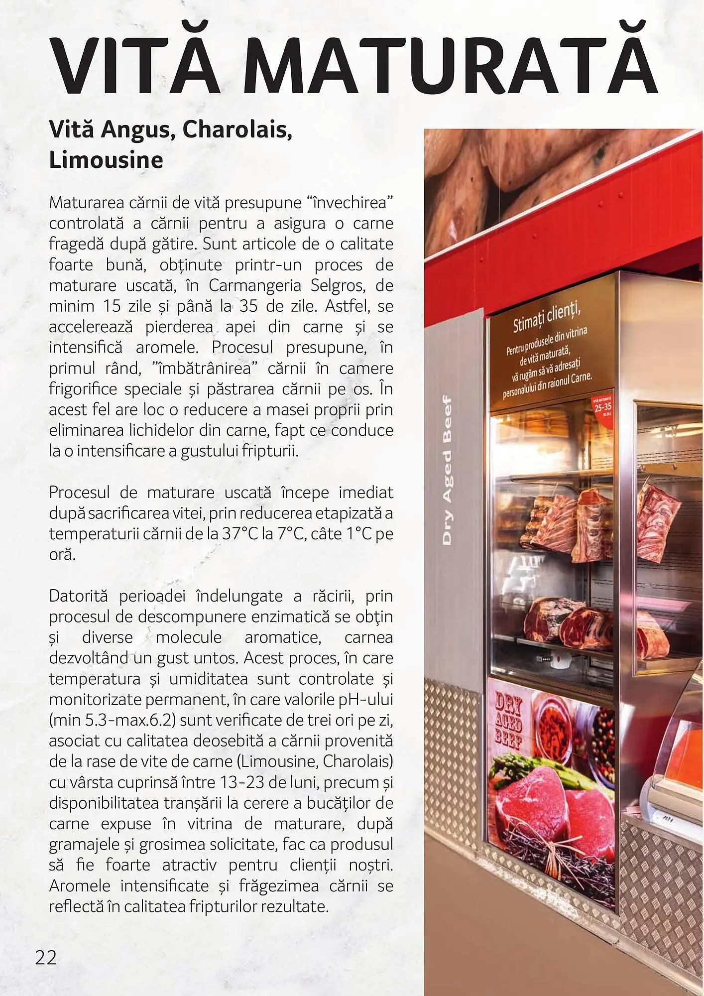 Catalog Catalog Selgros de la 3 octombrie până la 30 noiembrie 2025 - Revista Pagina 22