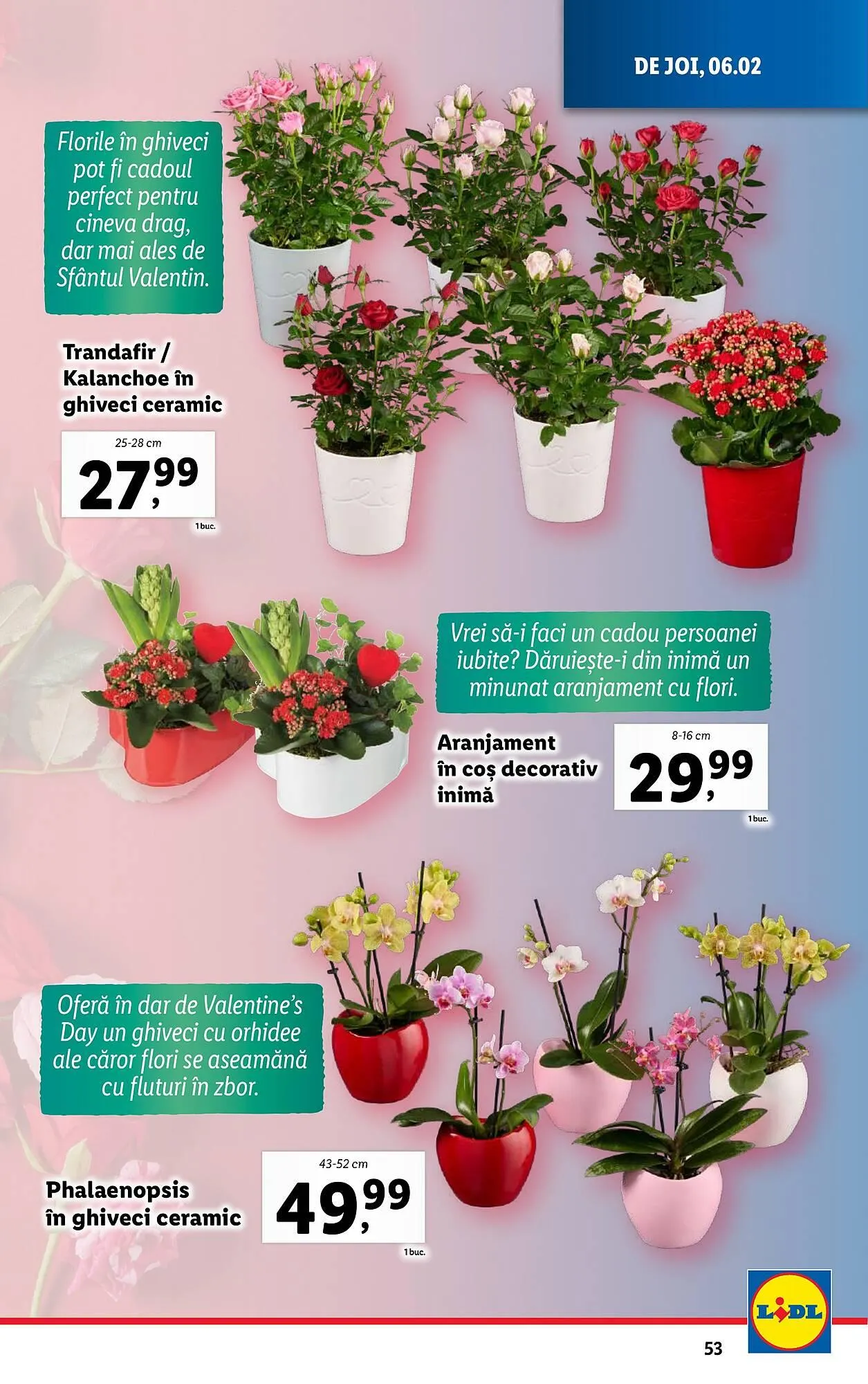 Catalog Catalog Lidl de la 3 februarie până la 9 februarie 2025 - Revista Pagina 53