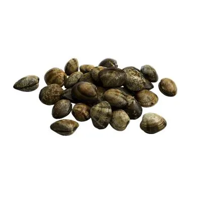 Vongole Prefierte 60-90 Congelate 900 g ❄