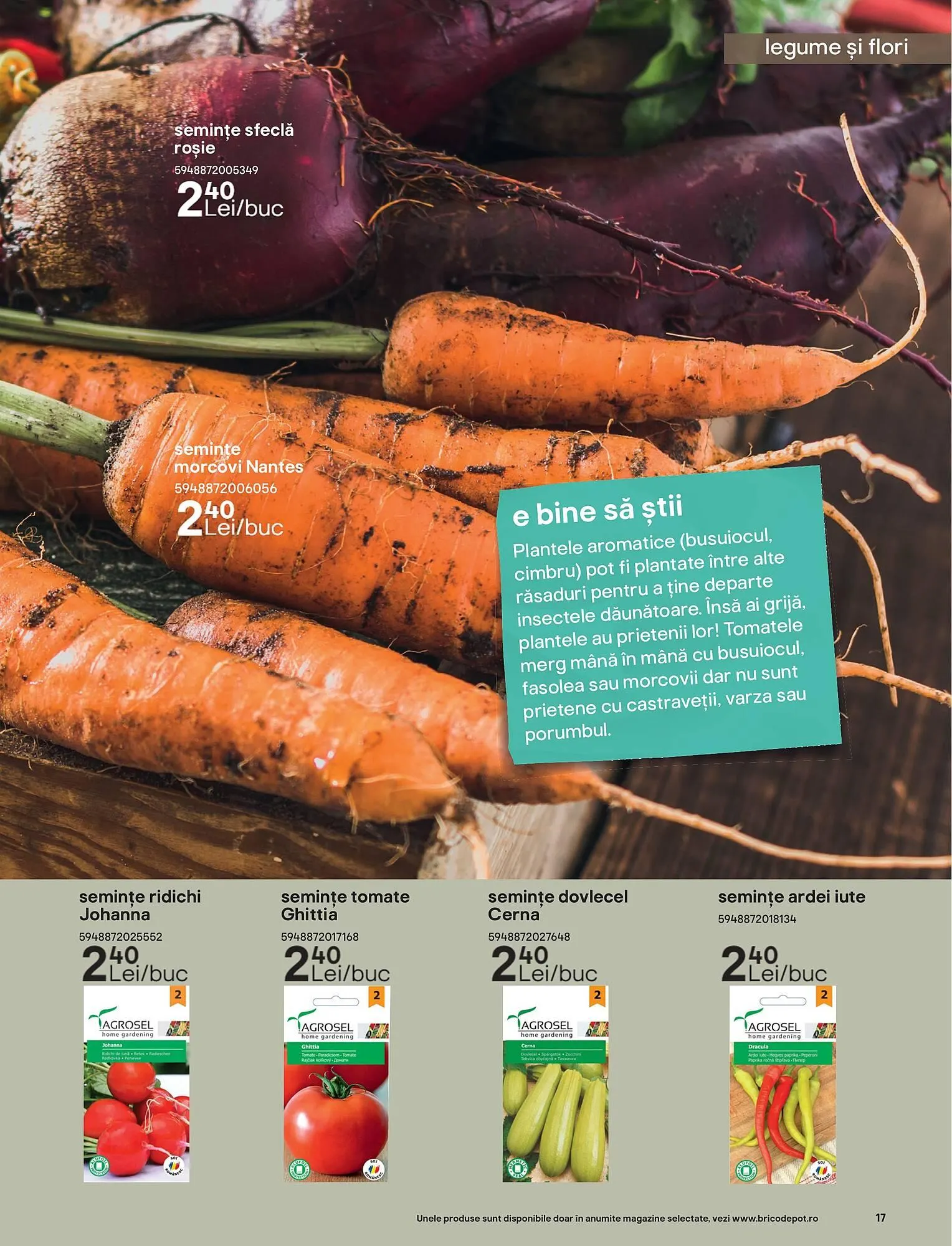 Catalog Catalog Brico Depôt de la 13 iunie până la 30 iunie 2025 - Revista Pagina 17