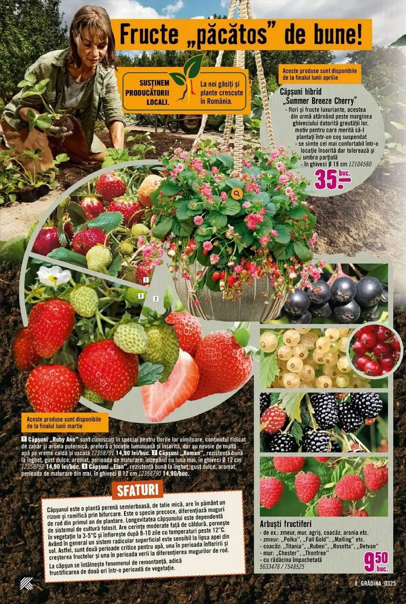 Catalog Catalog Hornbach de la 17 martie până la 25 aprilie 2025 - Revista Pagina 8