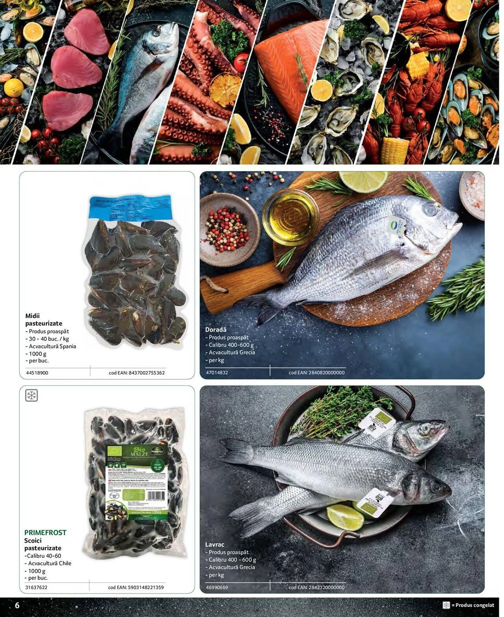 Catalog Selgros catalog de la 25 aprilie până la 31 decembrie 2023 - Revista Pagina 6