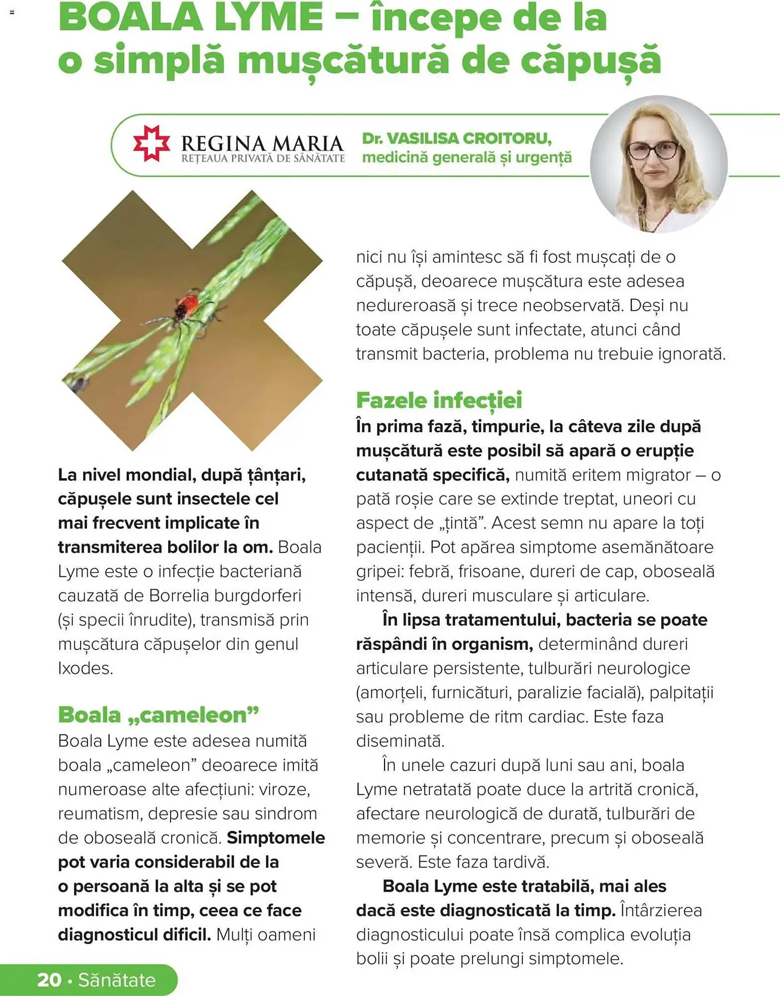 Catalog Catalog Dr.Max de la 28 februarie până la 31 mai 2026 - Revista Pagina 20