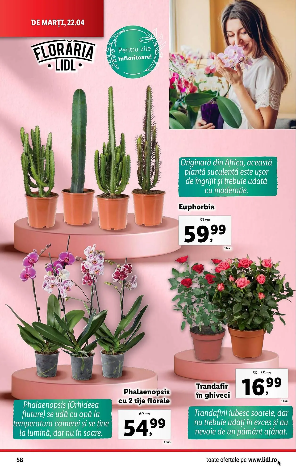 Catalog Catalog Lidl de la 22 aprilie până la 27 aprilie 2025 - Revista Pagina 58