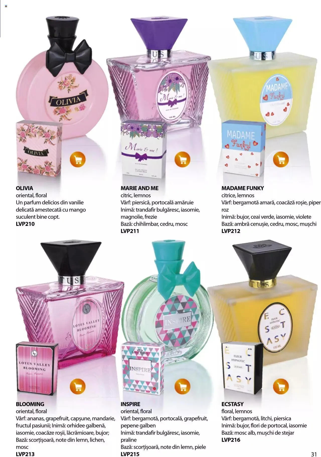 Catalog Catalog Lady’s de la 24 august până la 31 decembrie 2023 - Revista Pagina 31