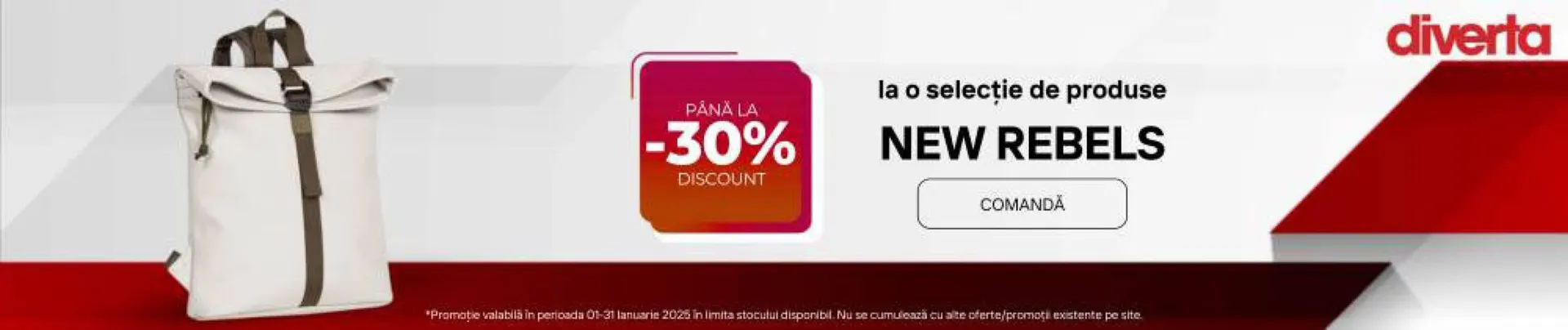 Catalog Catalog Diverta de la 2 ianuarie până la 31 ianuarie 2025 - Revista Pagina 13