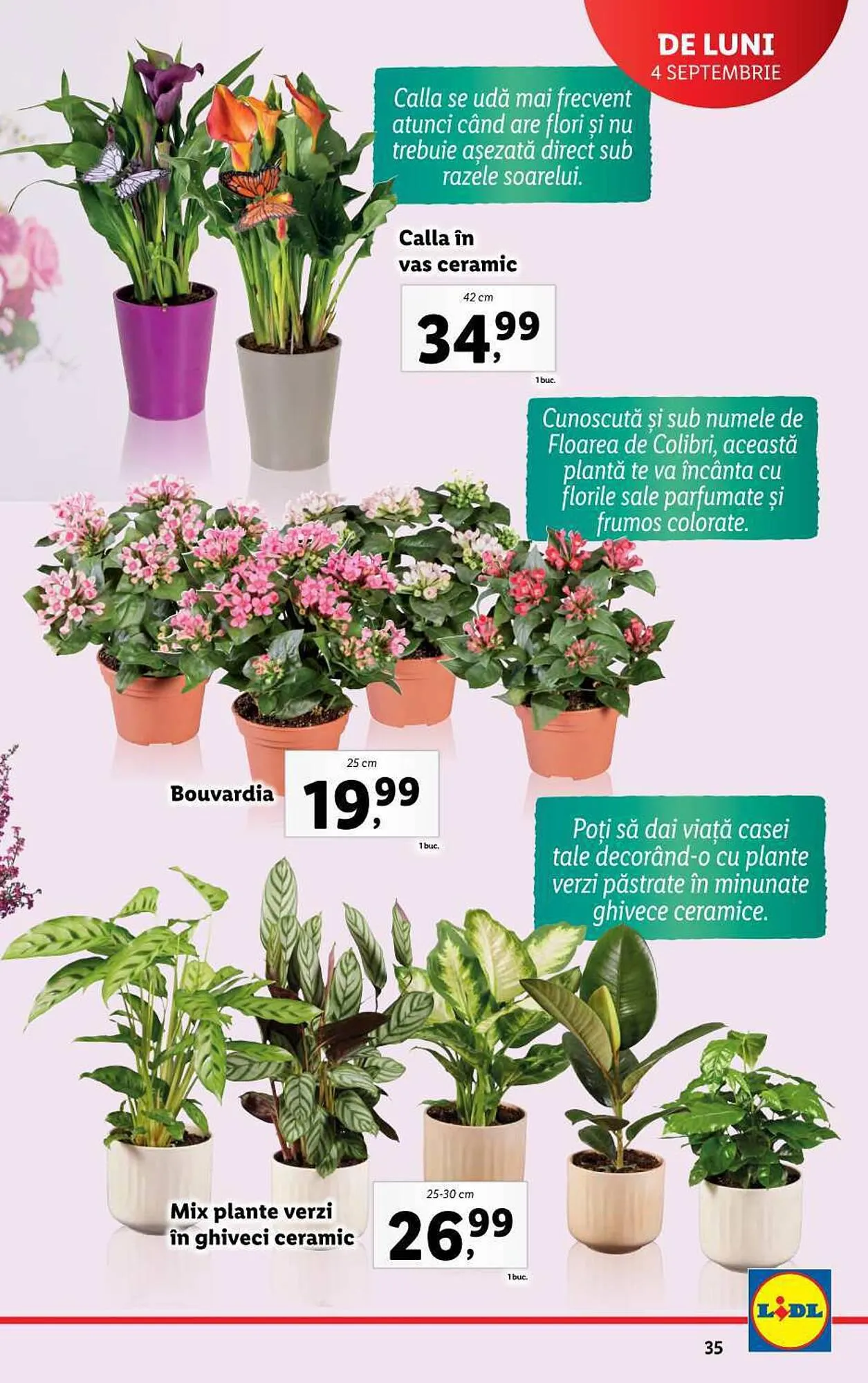 Catalog Lidl catalog de la 4 septembrie până la 10 septembrie 2023 - Revista Pagina 35