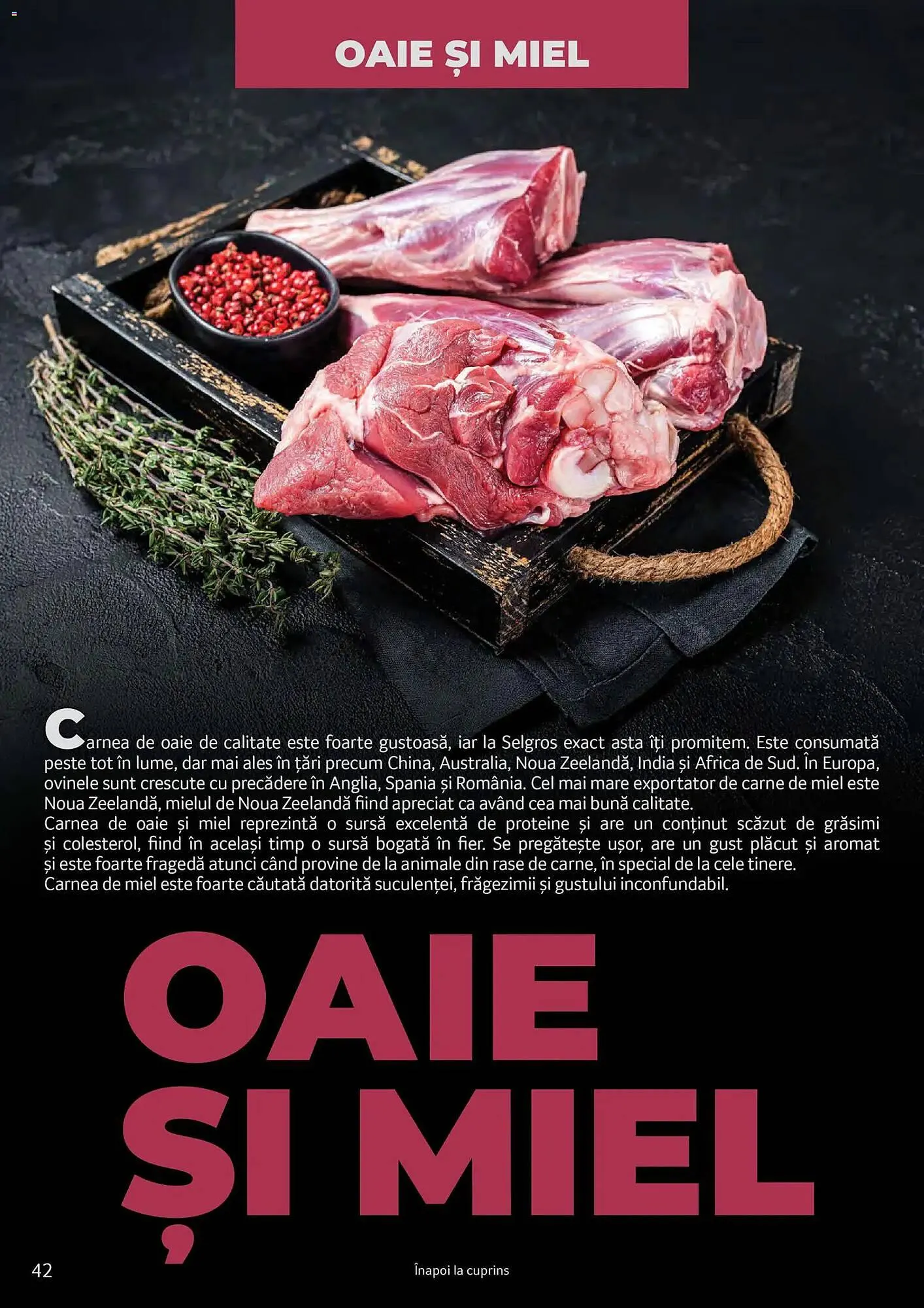 Catalog Catalog Selgros de la 24 martie până la 31 martie 2027 - Revista Pagina 42