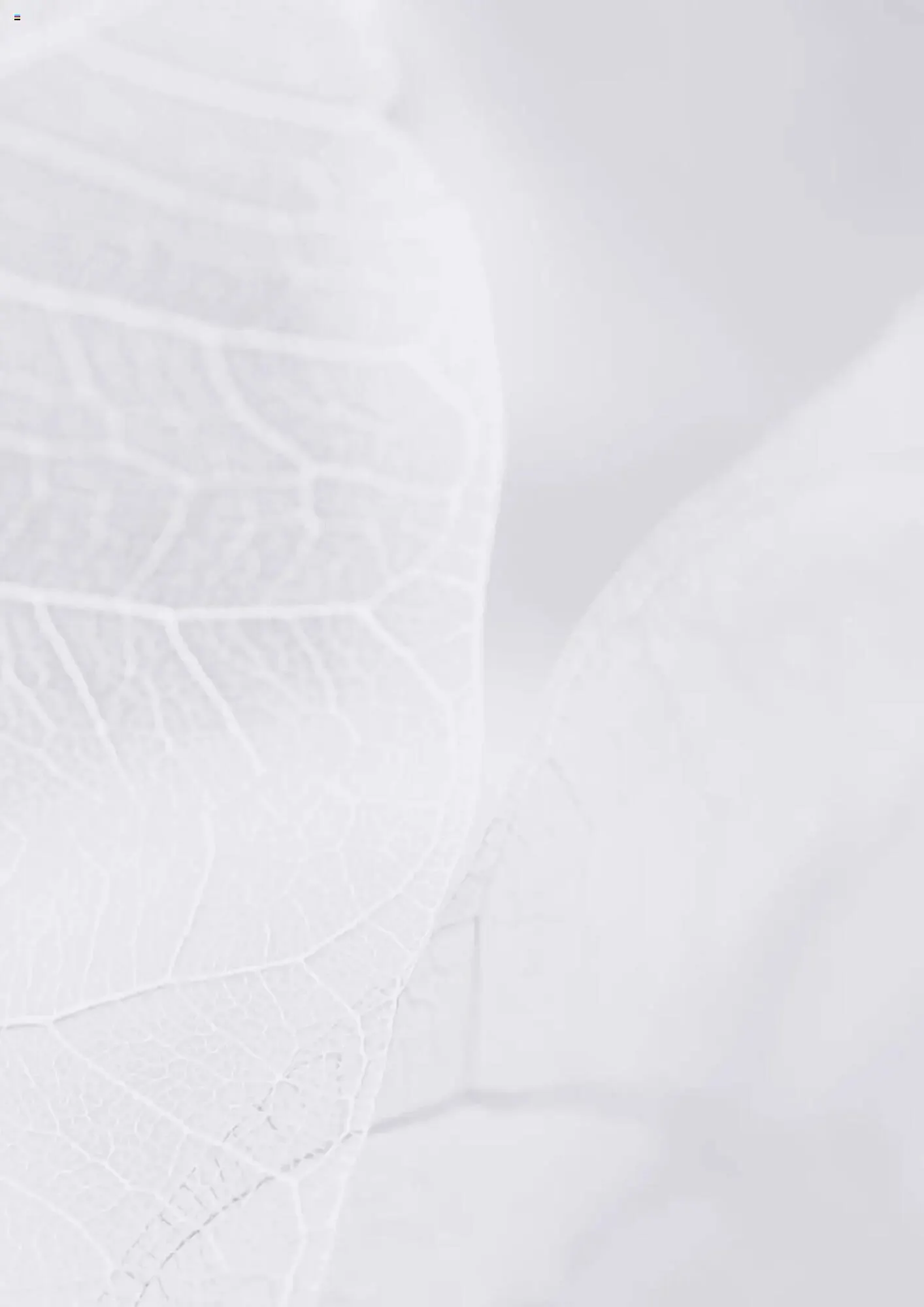 Catalog Catalog Proges de la 11 decembrie până la 31 decembrie 2025 - Revista Pagina 2