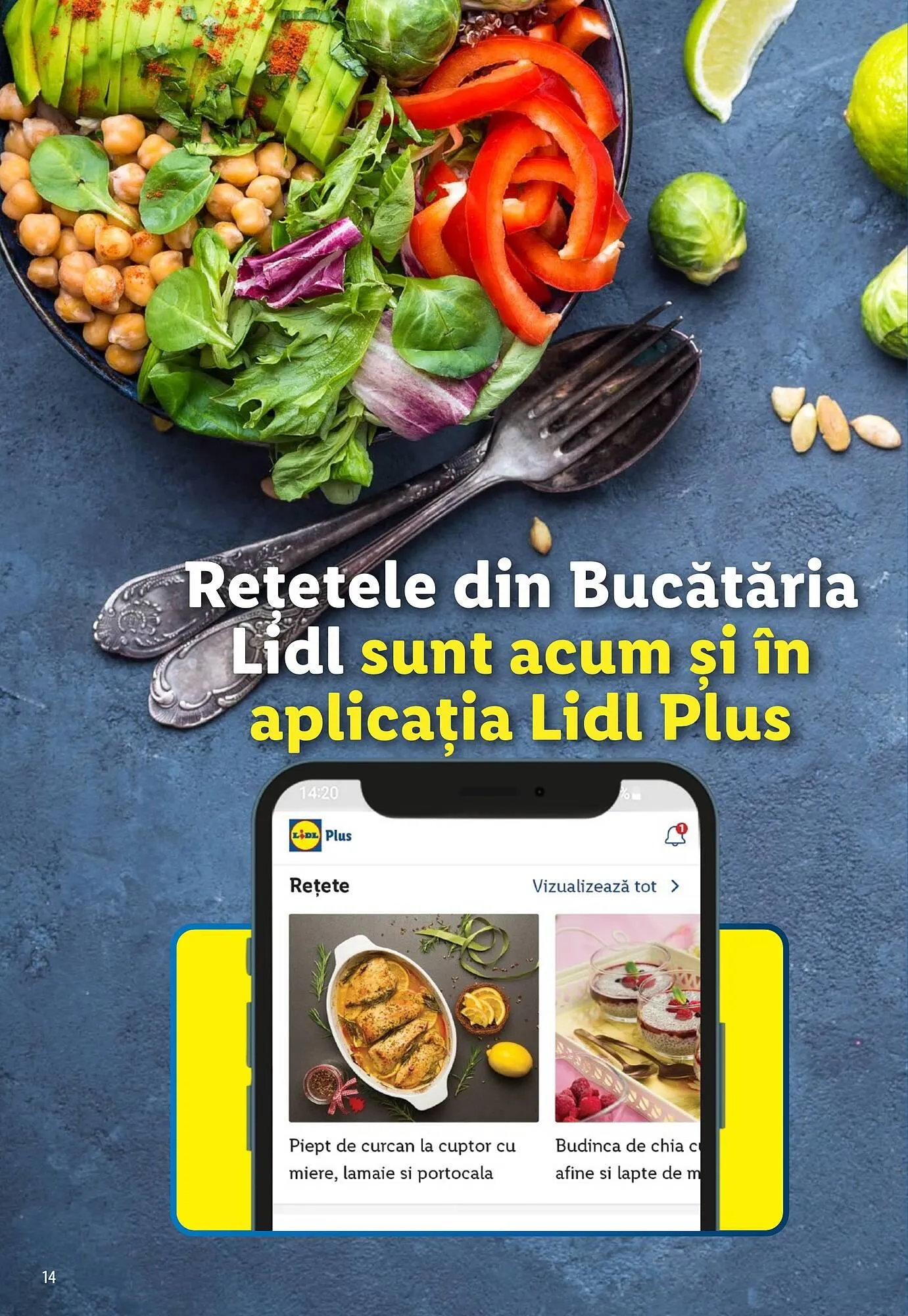 Catalog Lidl catalog de la 26 iulie până la 26 august 2023 - Revista Pagina 14