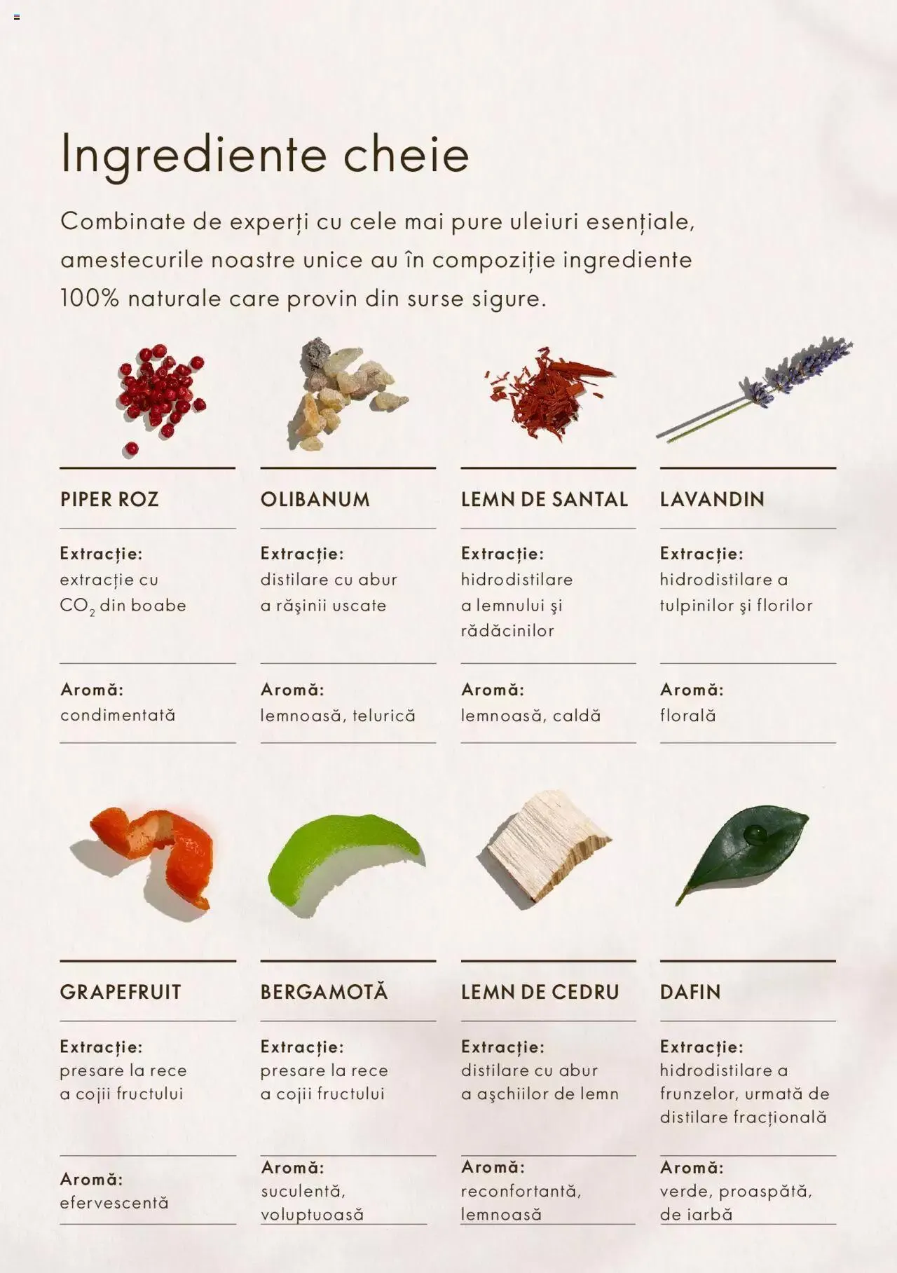 Catalog Oriflame catalog - Ghid Mind & Mood de la 8 martie până la 31 decembrie 2023 - Revista Pagina 5