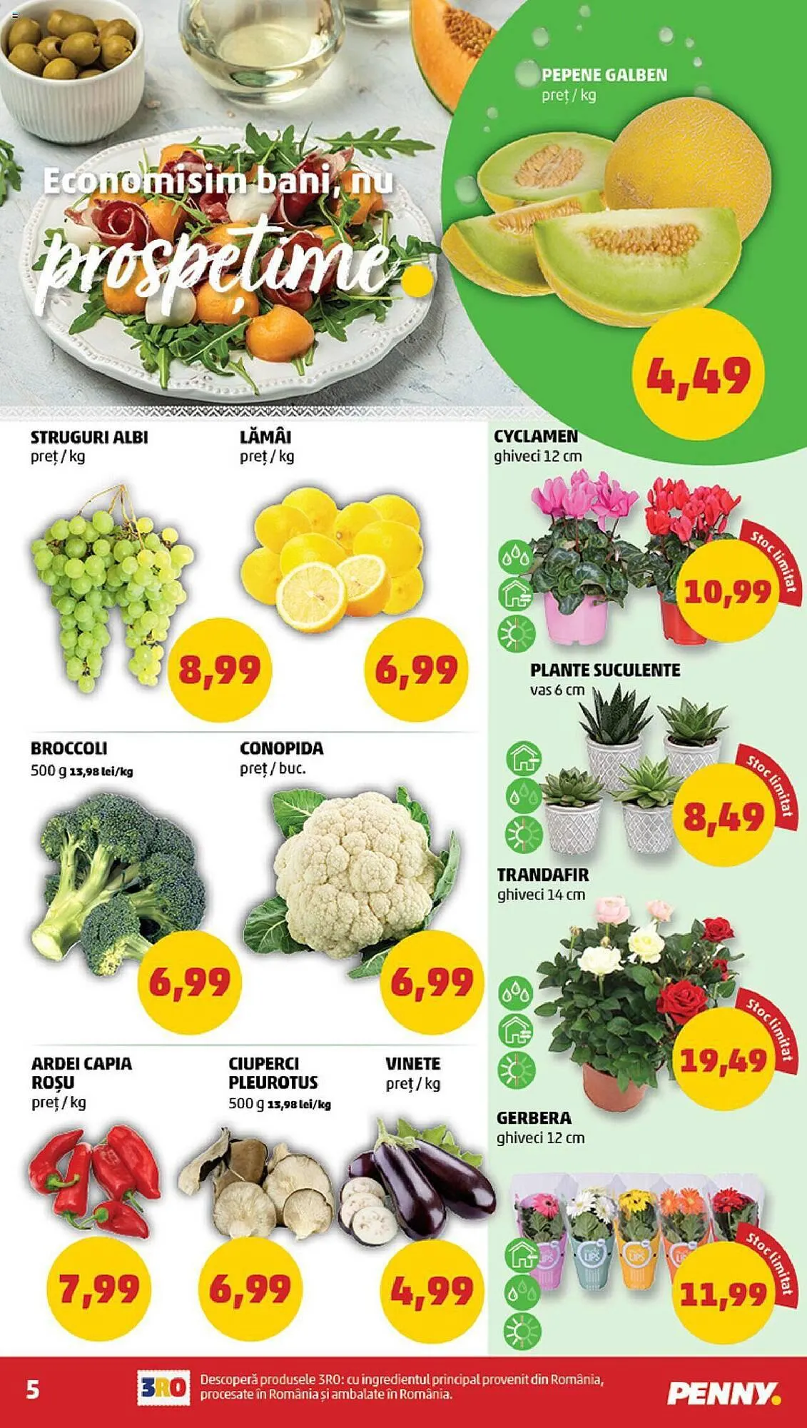 Catalog Penny catalog de la 26 iulie până la 1 august 2023 - Revista Pagina 5