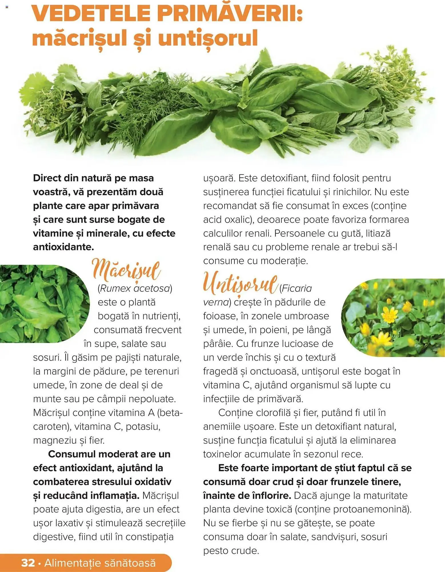 Catalog Catalog Dr.Max de la 28 februarie până la 31 mai 2026 - Revista Pagina 32