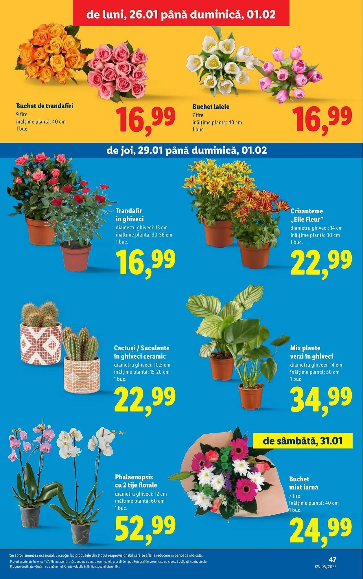 Catalog Catalog Lidl de la 26 ianuarie până la 1 februarie 2026 - Revista Pagina 47