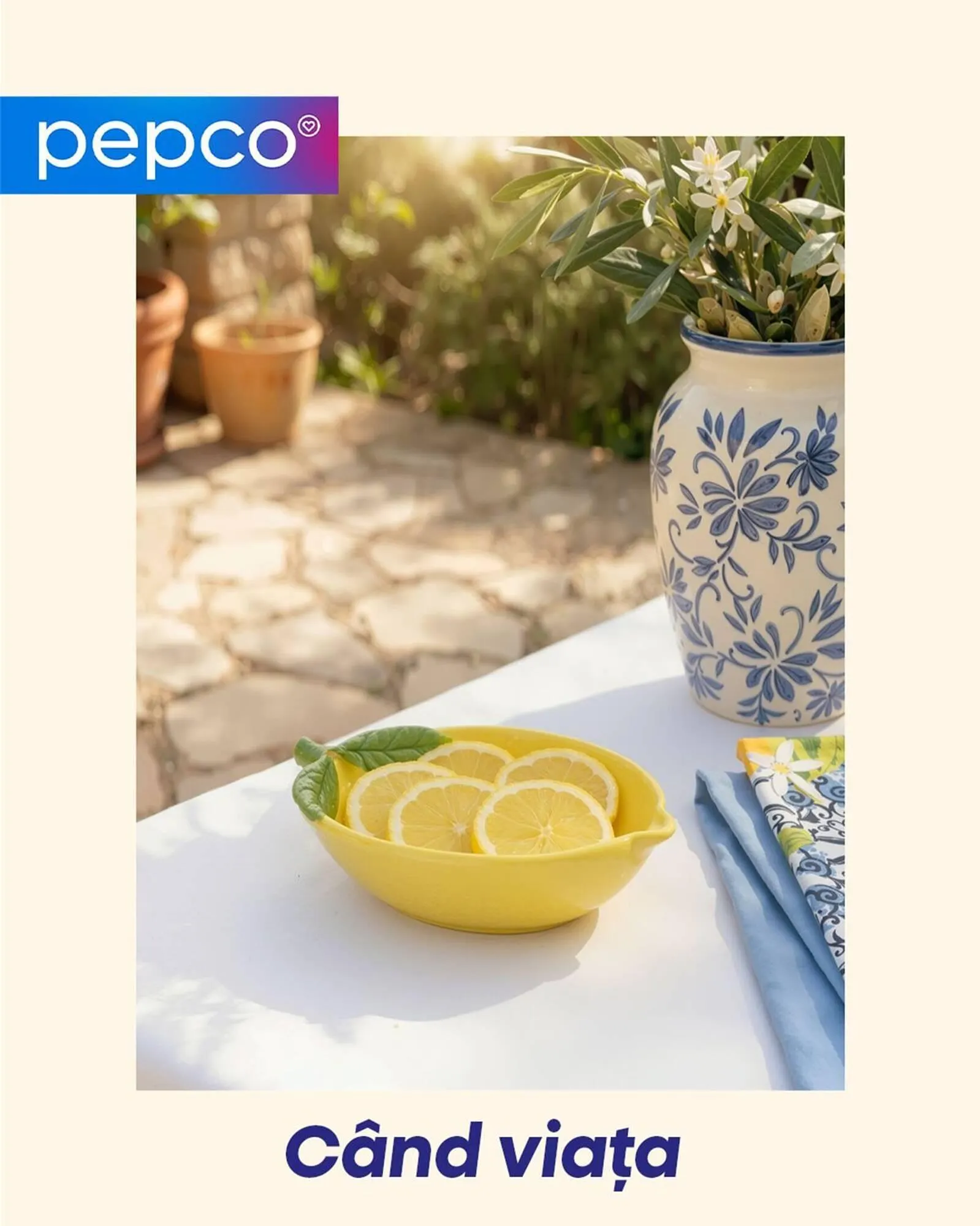 Catalog Pepco - 1