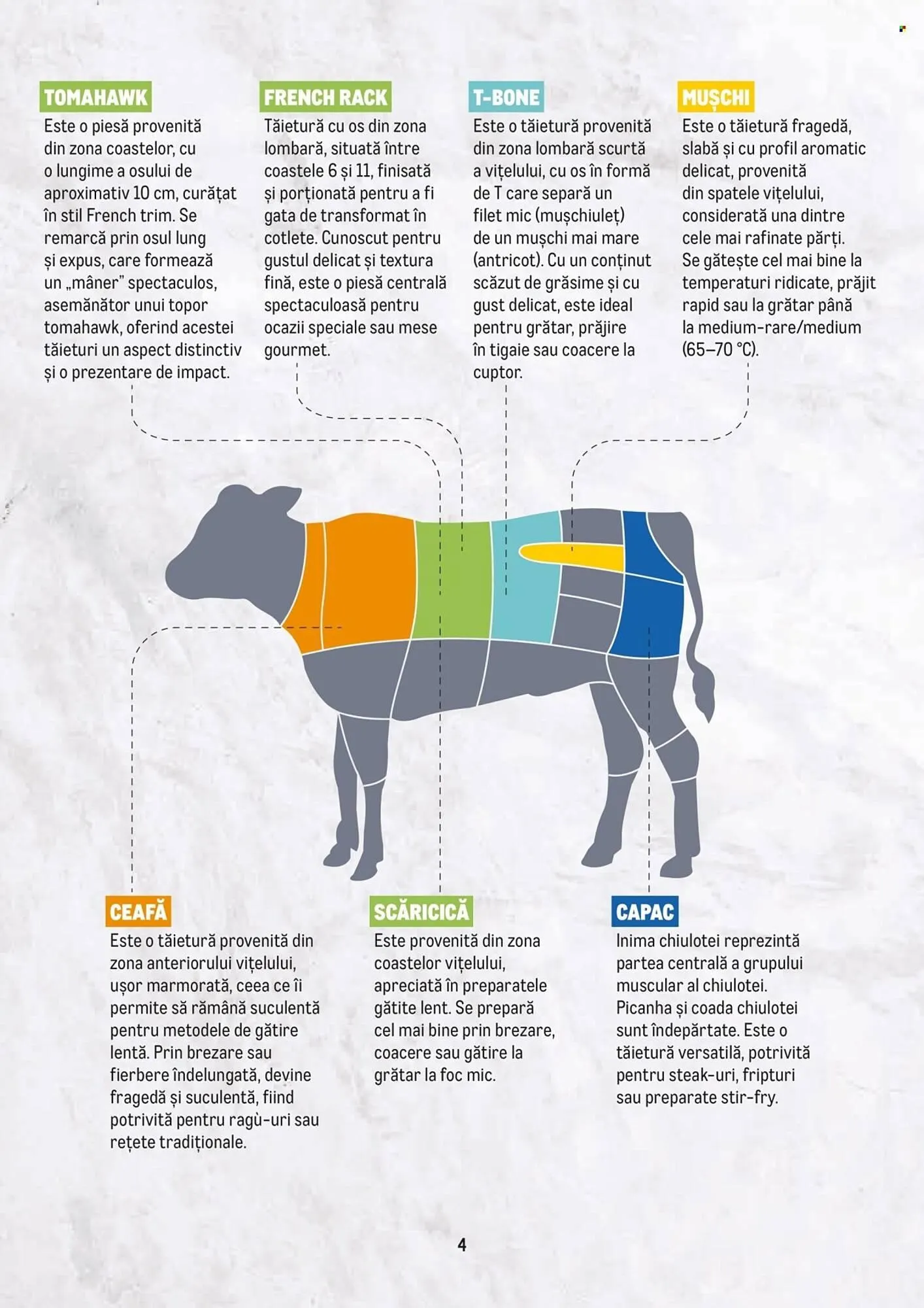 Catalog Catalog Metro de la 23 februarie până la 31 decembrie 2026 - Revista Pagina 4