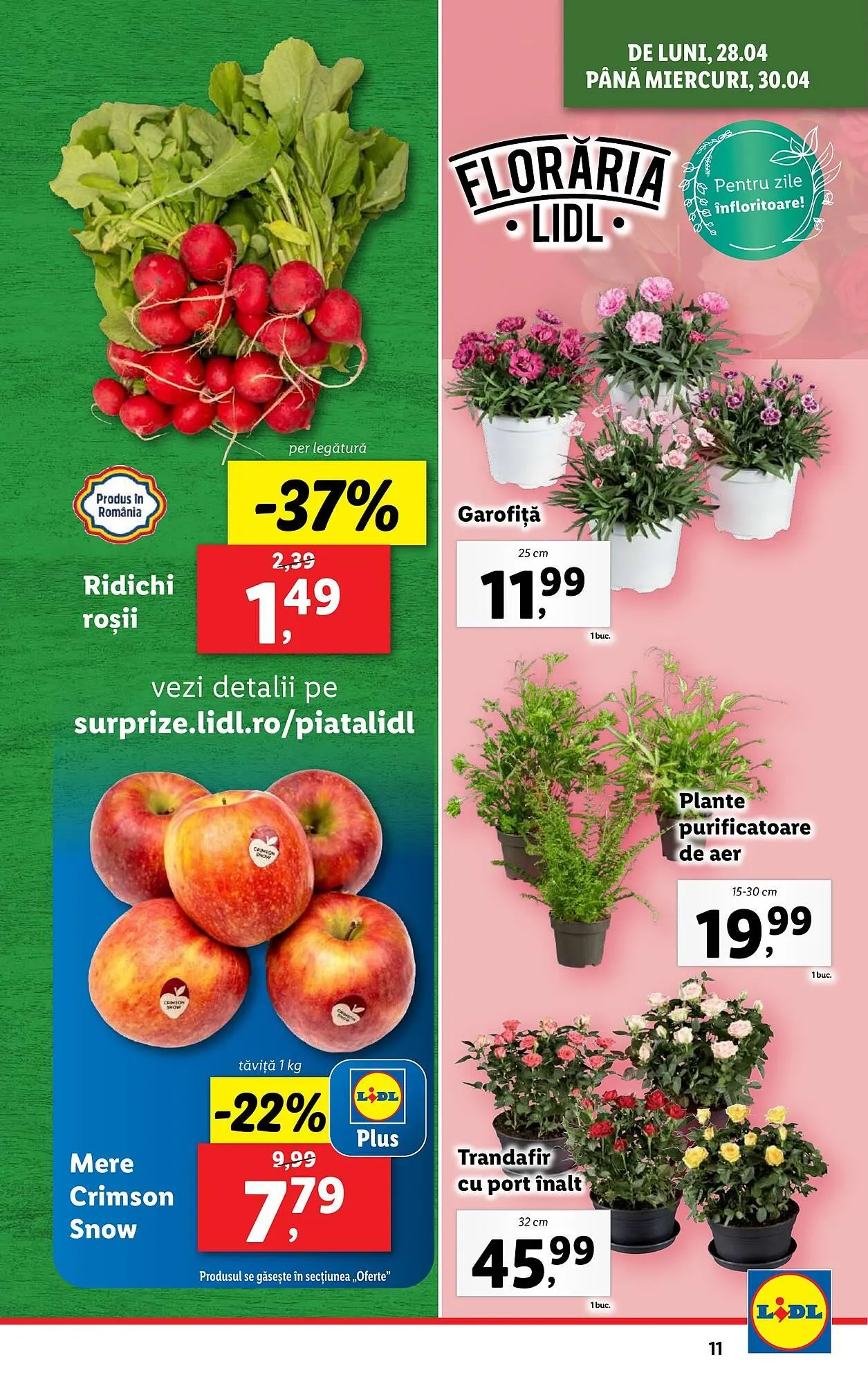 Catalog Catalog Lidl de la 22 aprilie până la 27 aprilie 2025 - Revista Pagina 11
