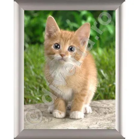 RAMA CLICK / SNAP A2 25 MM PENTRU POSTERE, AFISE, aluminiu, culoare argintiu (silver) mat, 420x594 mm (Olanda)