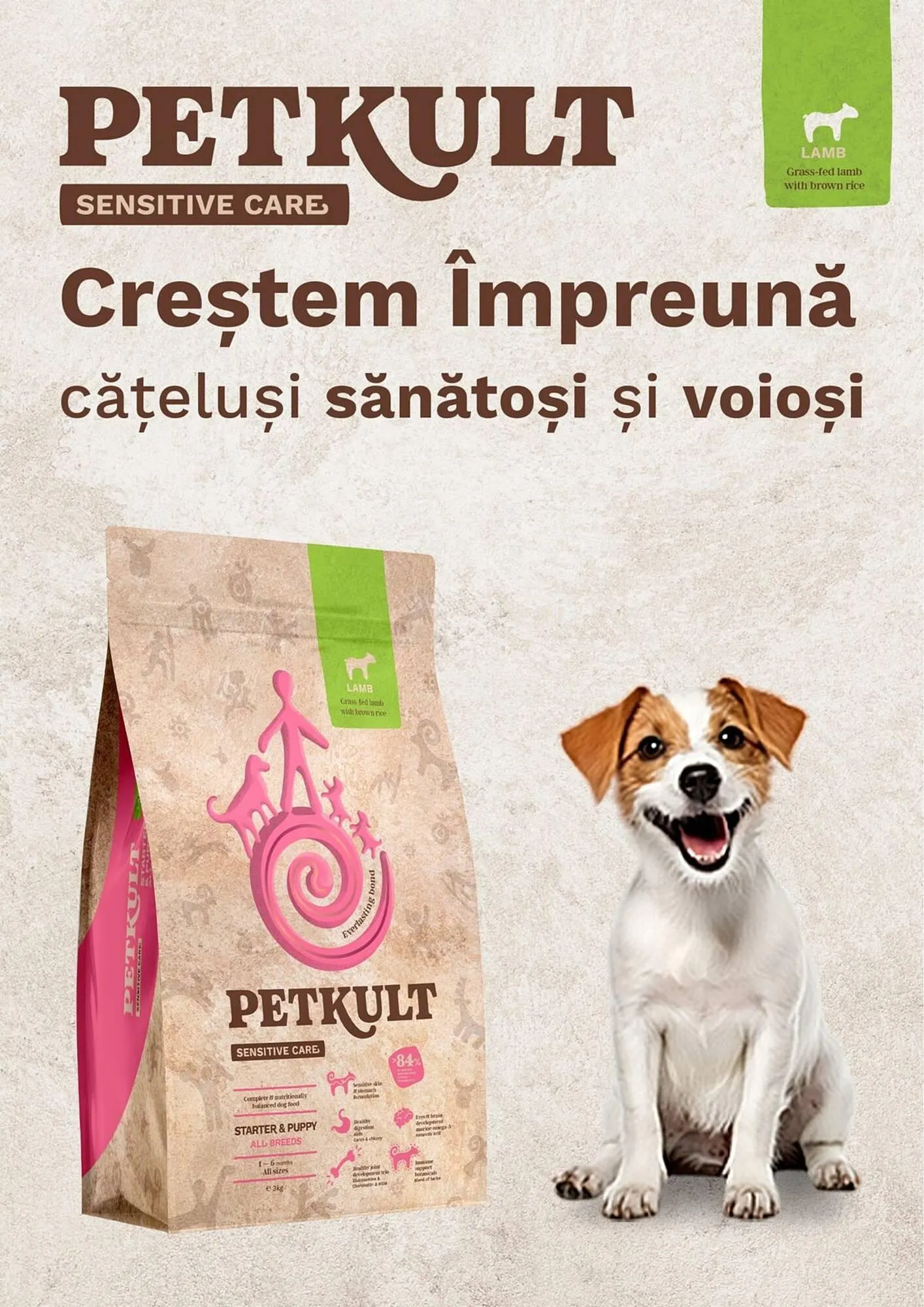 Catalog Catalog Animax de la 2 ianuarie până la 3 februarie 2025 - Revista Pagina 7