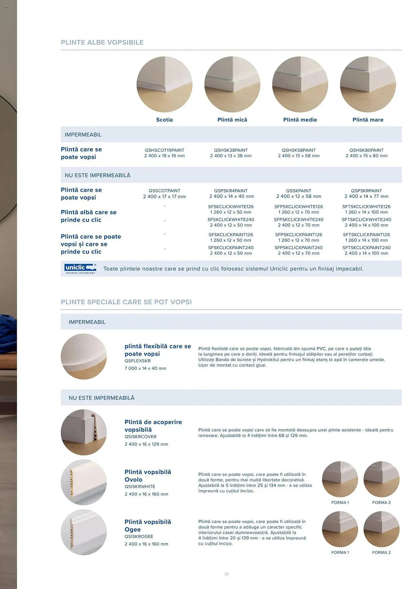 Catalog Catalog Proges de la 3 noiembrie până la 31 ianuarie 2027 - Revista Pagina 79