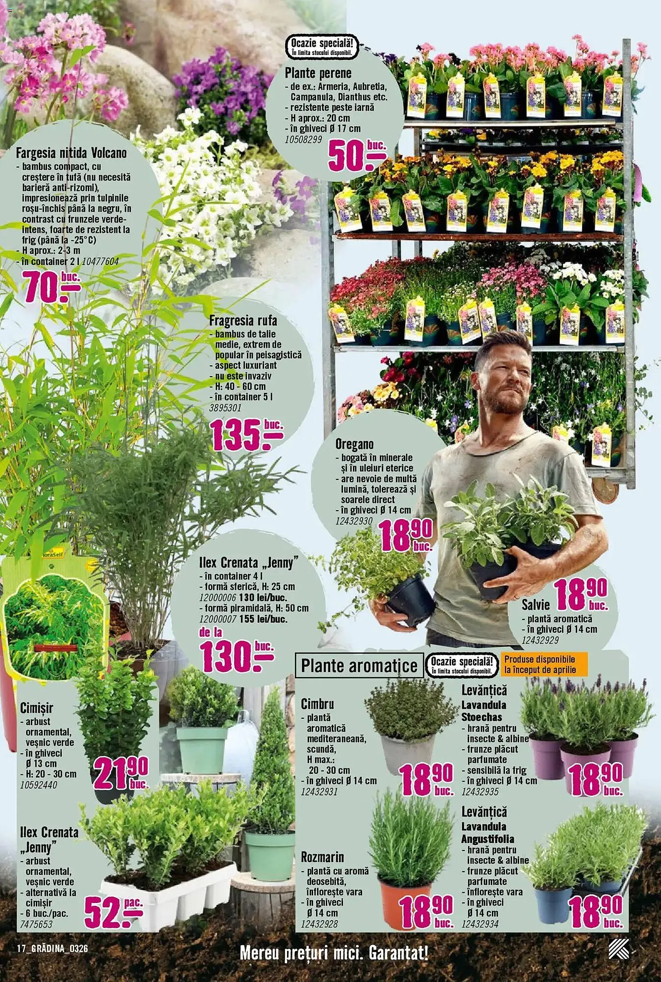 Catalog Magazine Hornbach de la 22 martie până la 22 aprilie 2026 - Revista Pagina 17