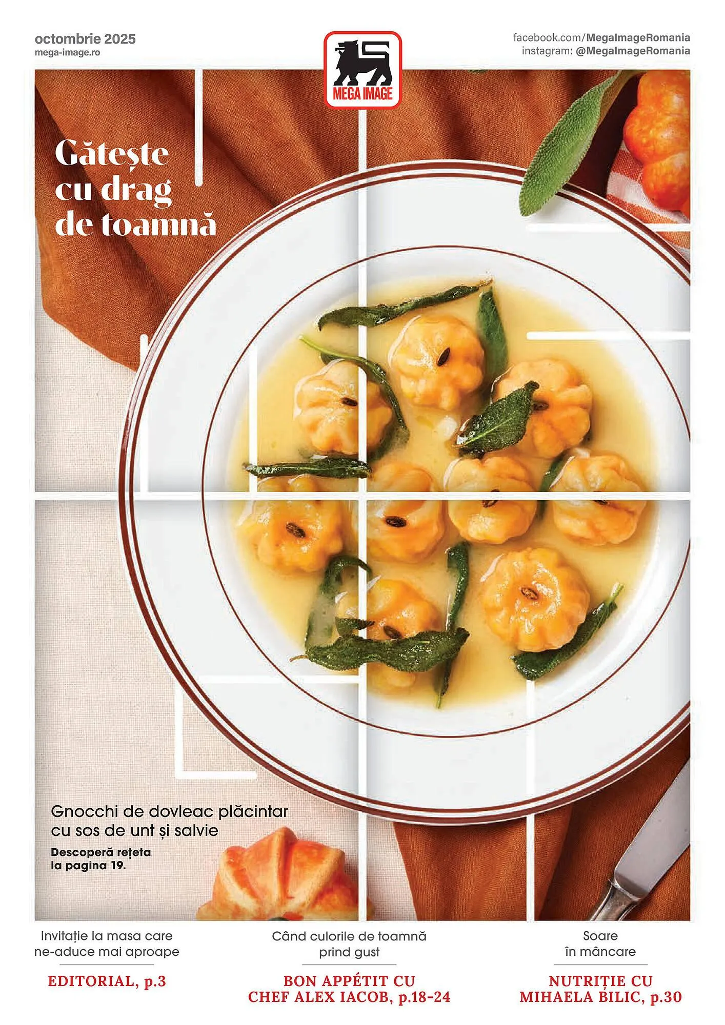 Catalog Mega Image - 1